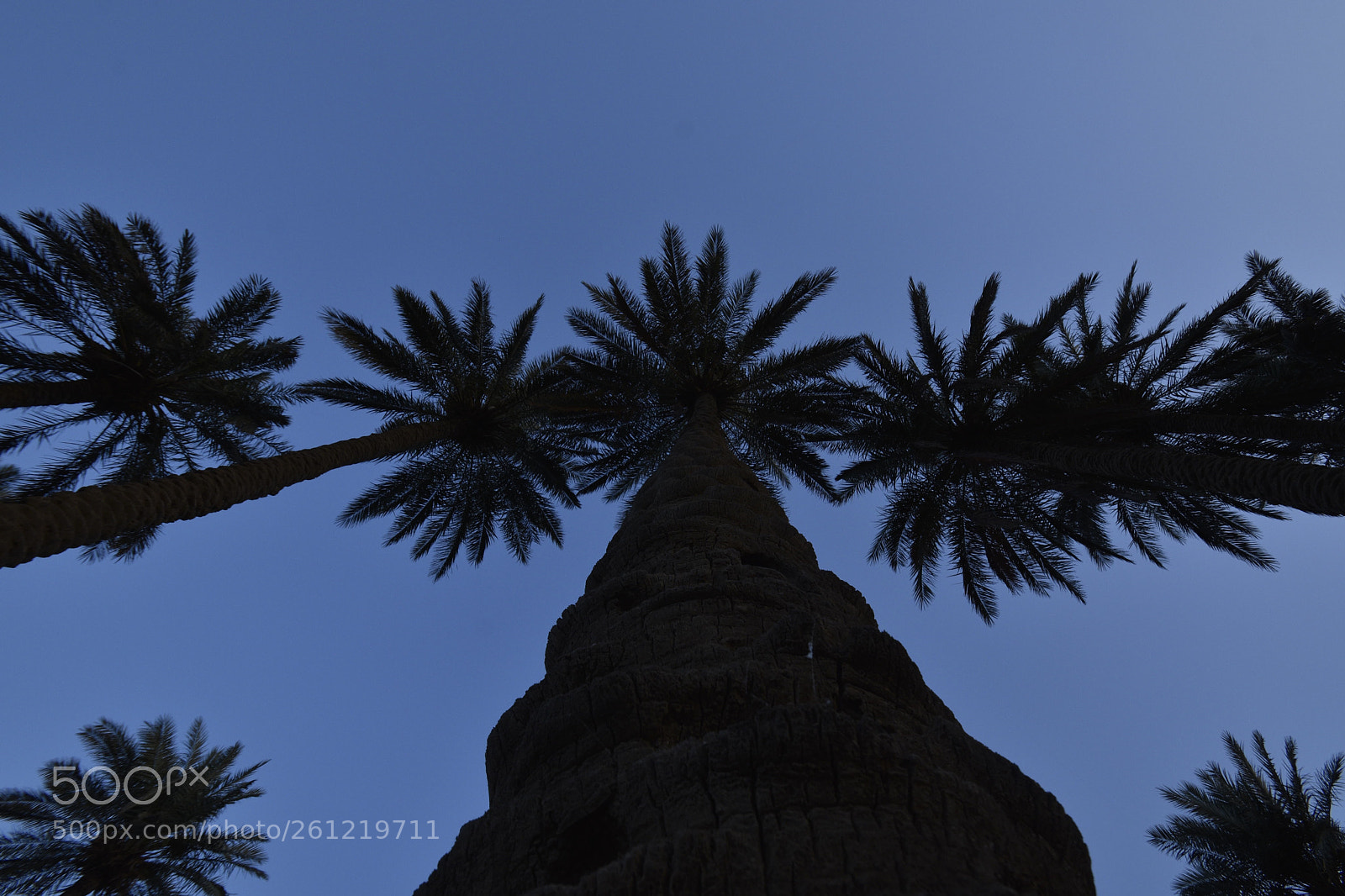 Nikon D7200 sample photo. Untitled photography