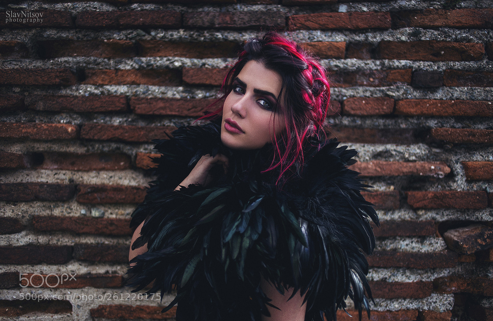 Canon EOS 6D sample photo. Black bird photography