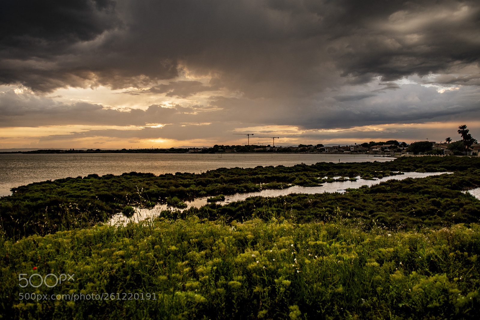 Nikon D610 sample photo. Sunset in montpellier photography