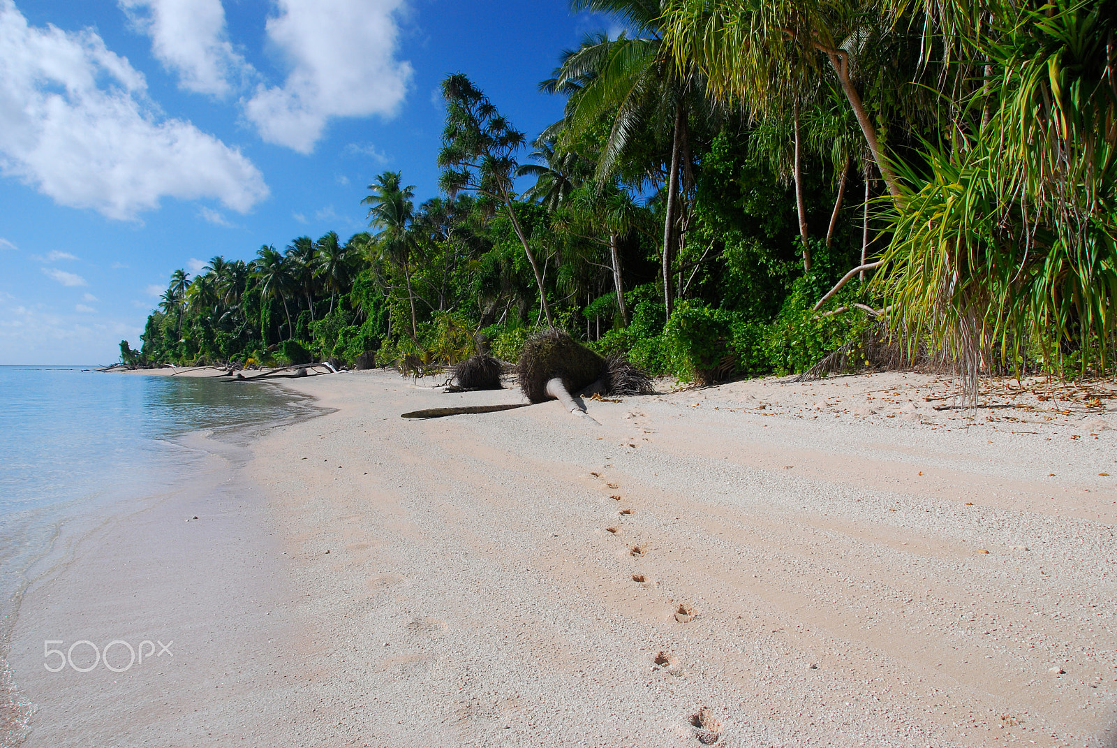 Nikon D80 sample photo. Tepuka island.  tuvalu. photography