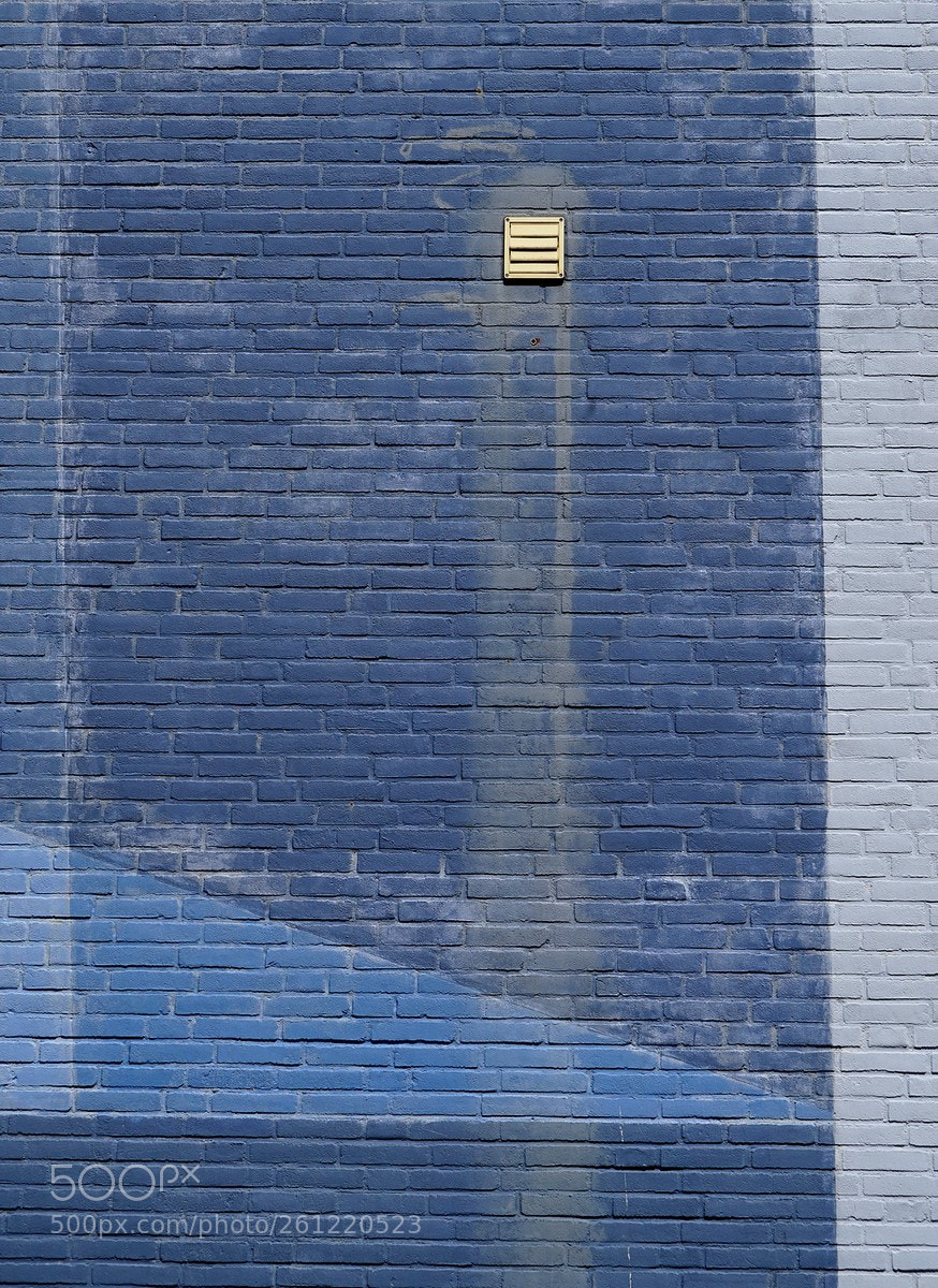 Sony a7R sample photo. Fan on blue photography