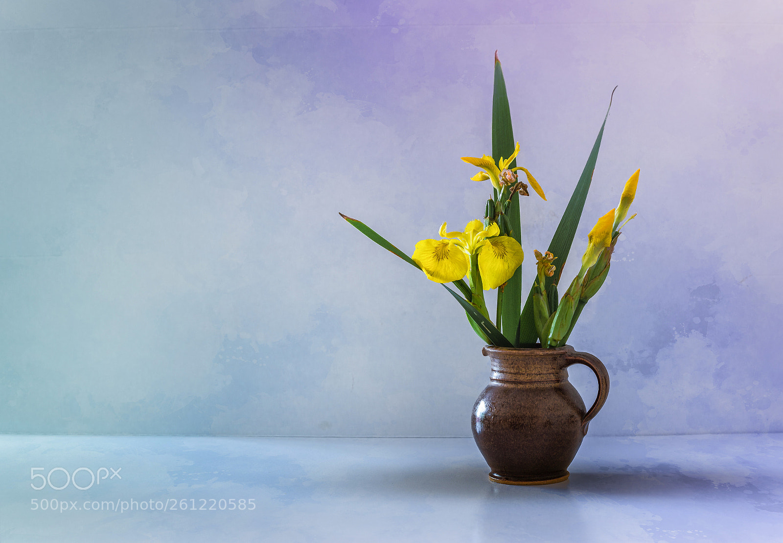 Canon EOS 6D sample photo. Swamp sword lily iris photography