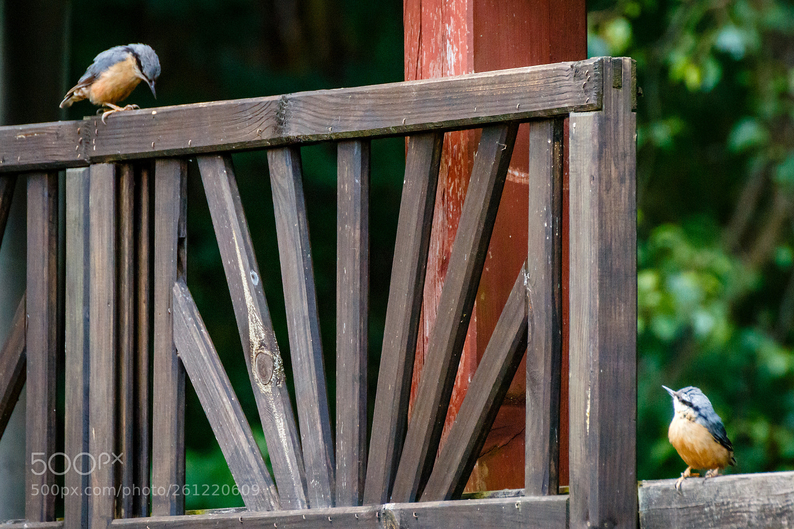 Canon EOS 70D sample photo. Familie kleiber photography
