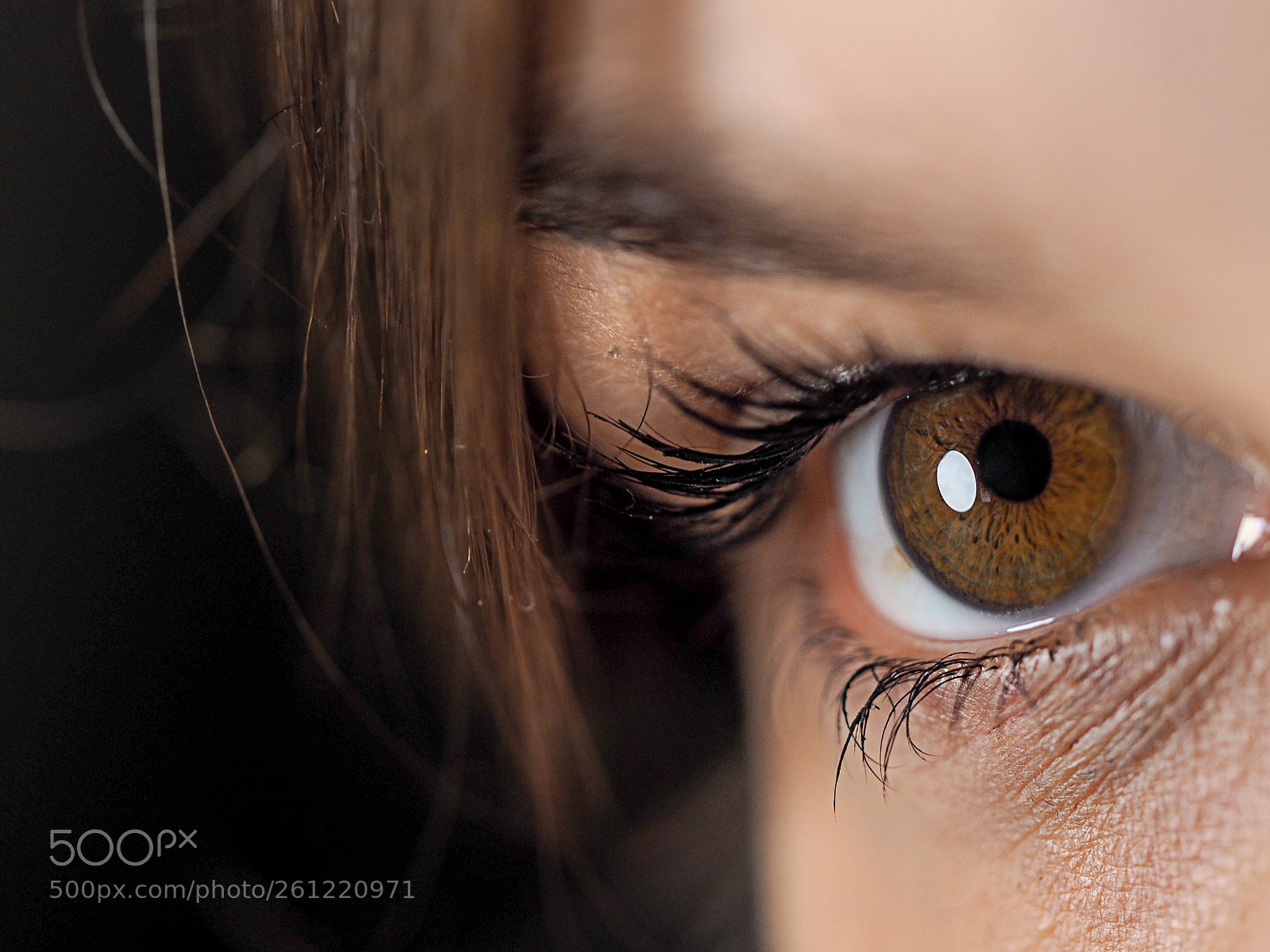 Olympus OM-D E-M10 II sample photo. Der blick by julia photography