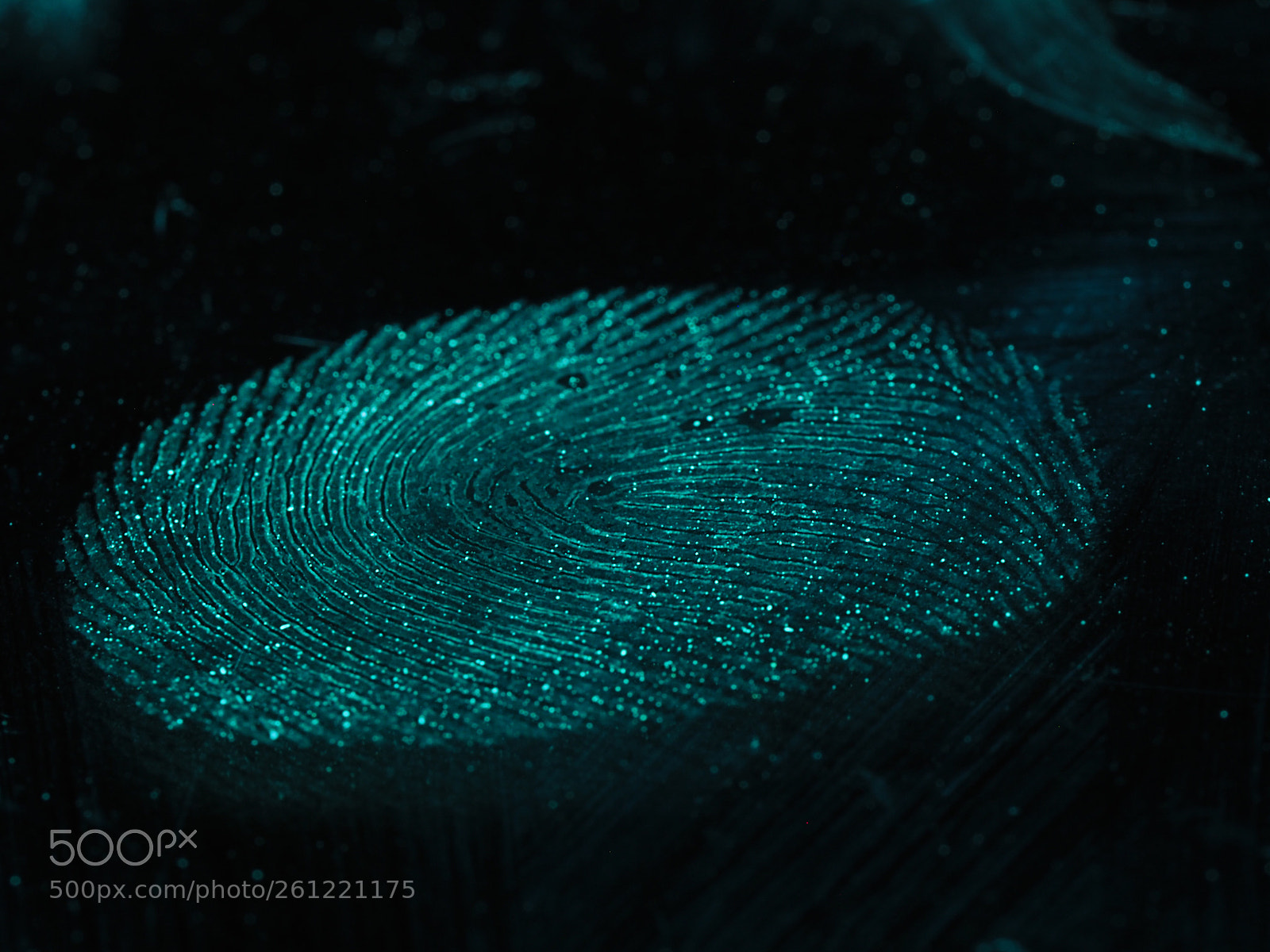 Olympus OM-D E-M10 II sample photo. Fingerprint by julia rechnitzer photography