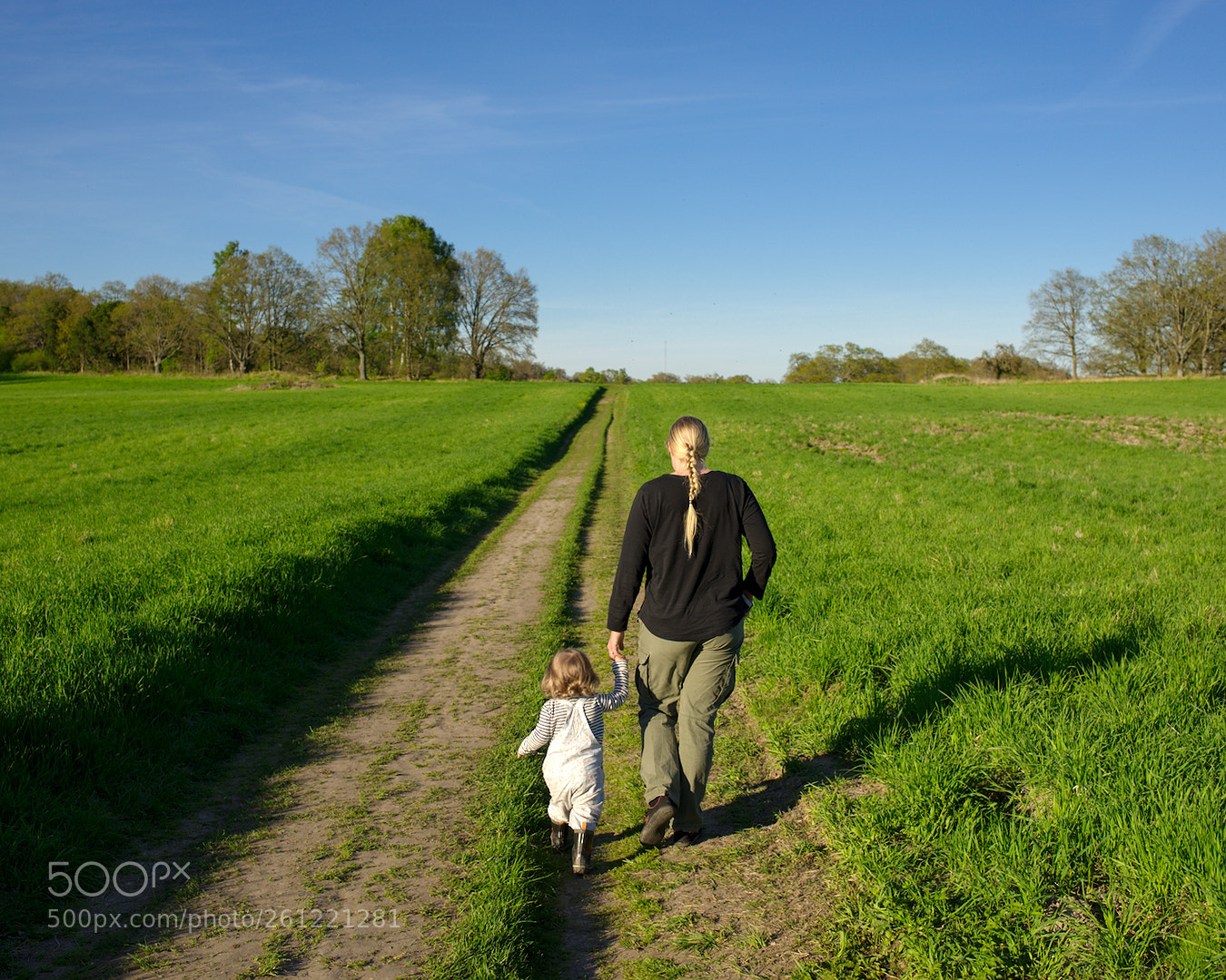 Nikon D700 sample photo. Going for a walk photography
