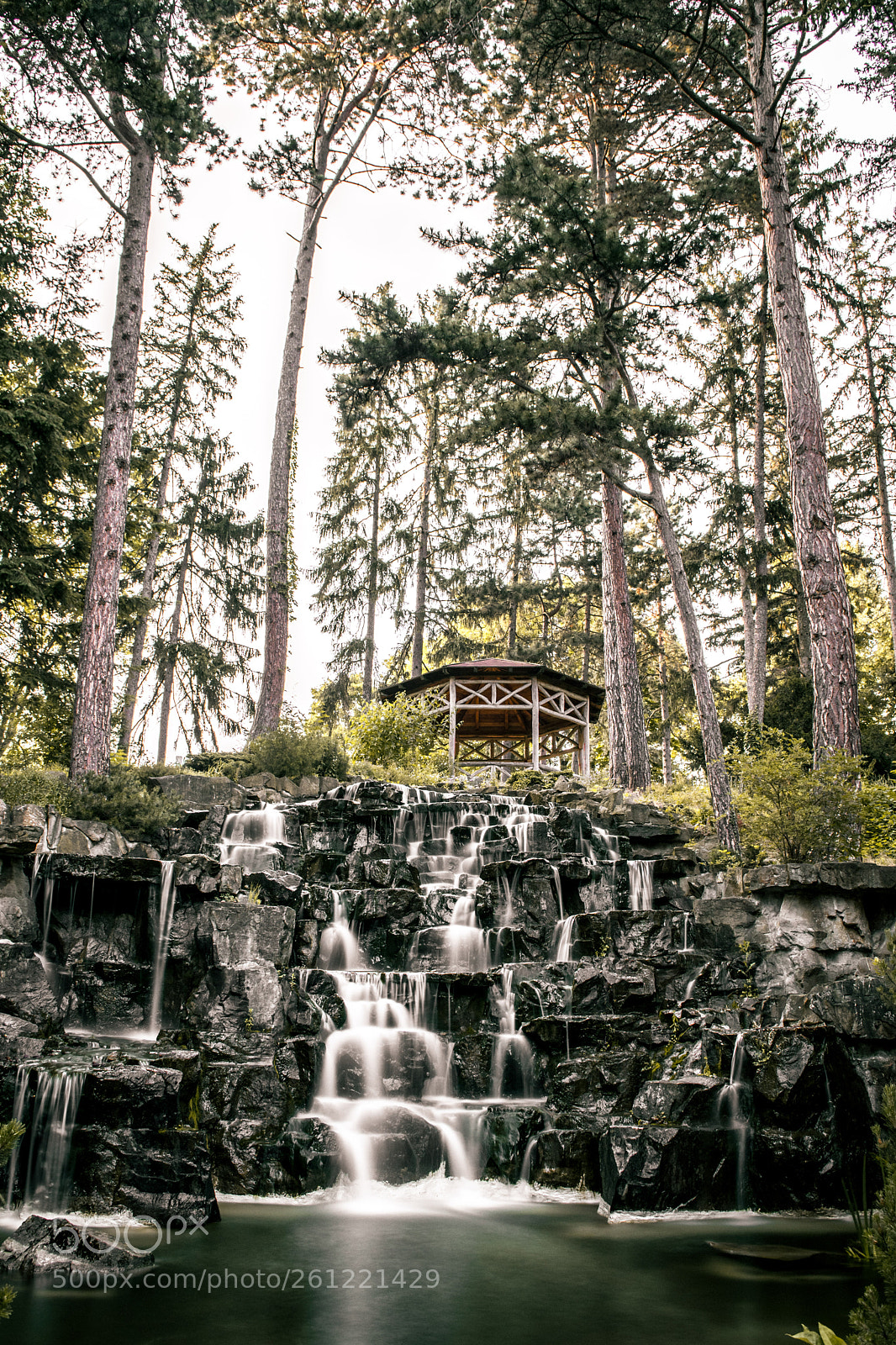 Nikon D3300 sample photo. Turkenschanzpark photography