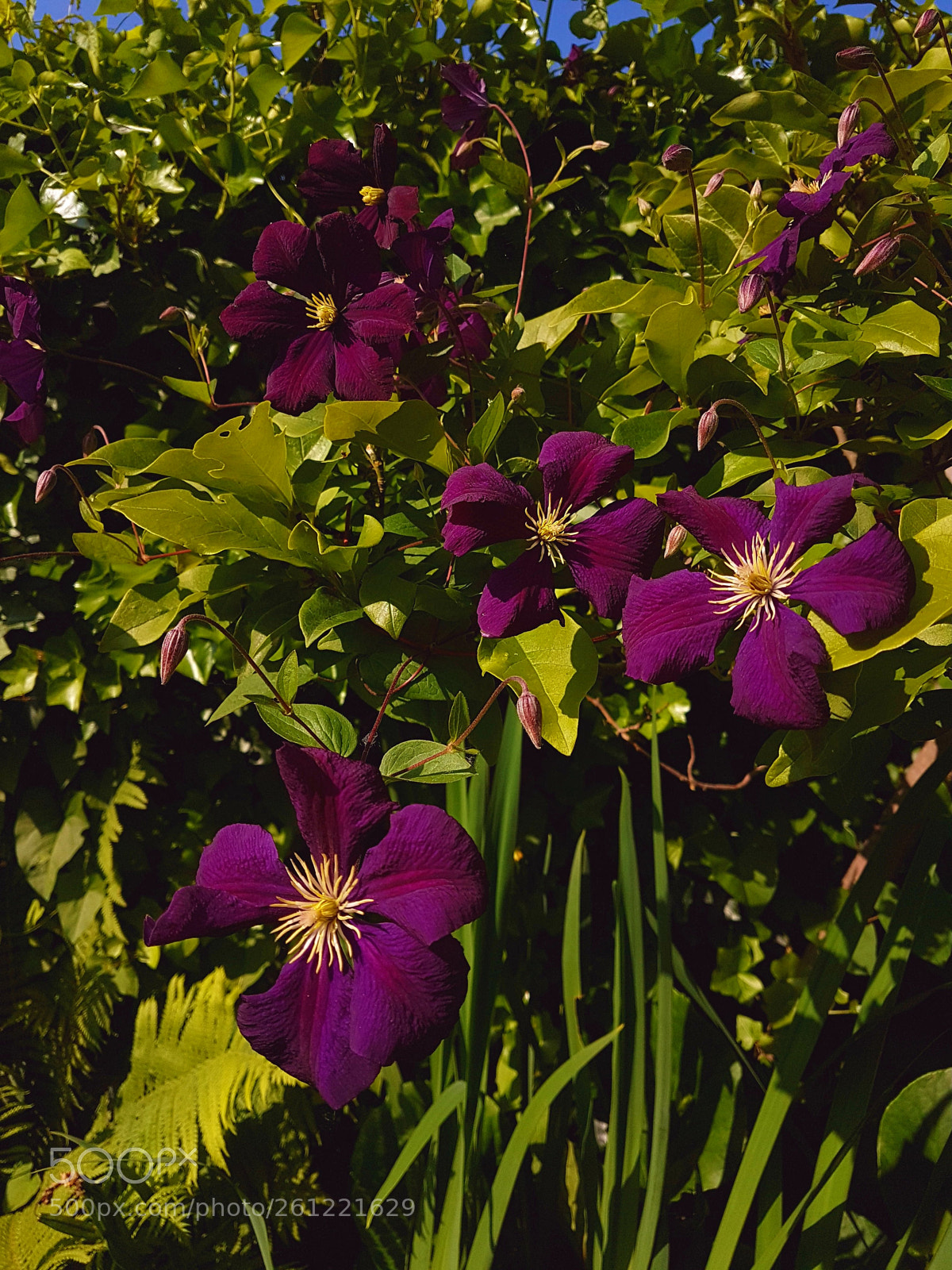 Samsung Galaxy S7 sample photo. Untitled photography