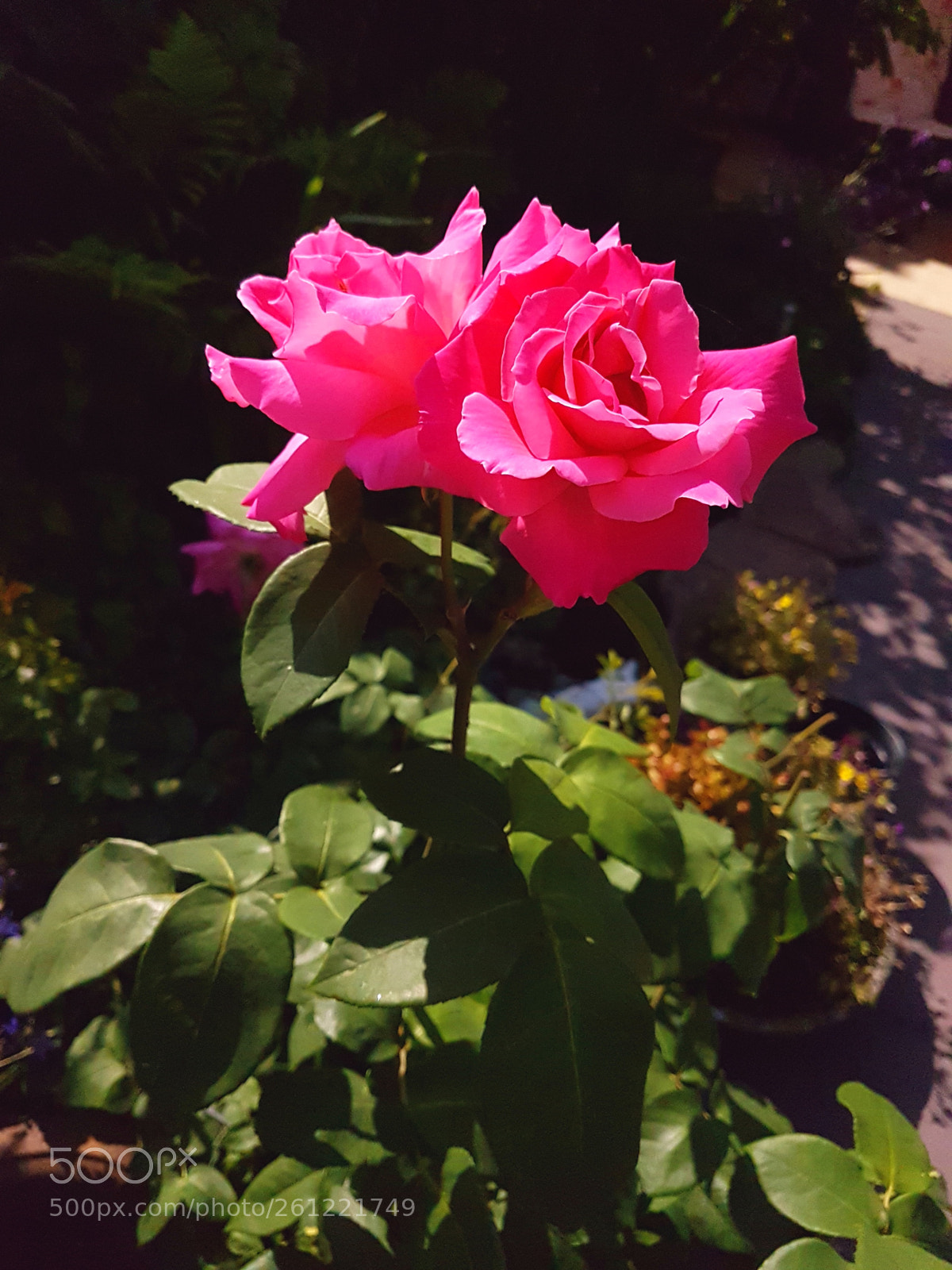 Samsung Galaxy S7 sample photo. Untitled photography