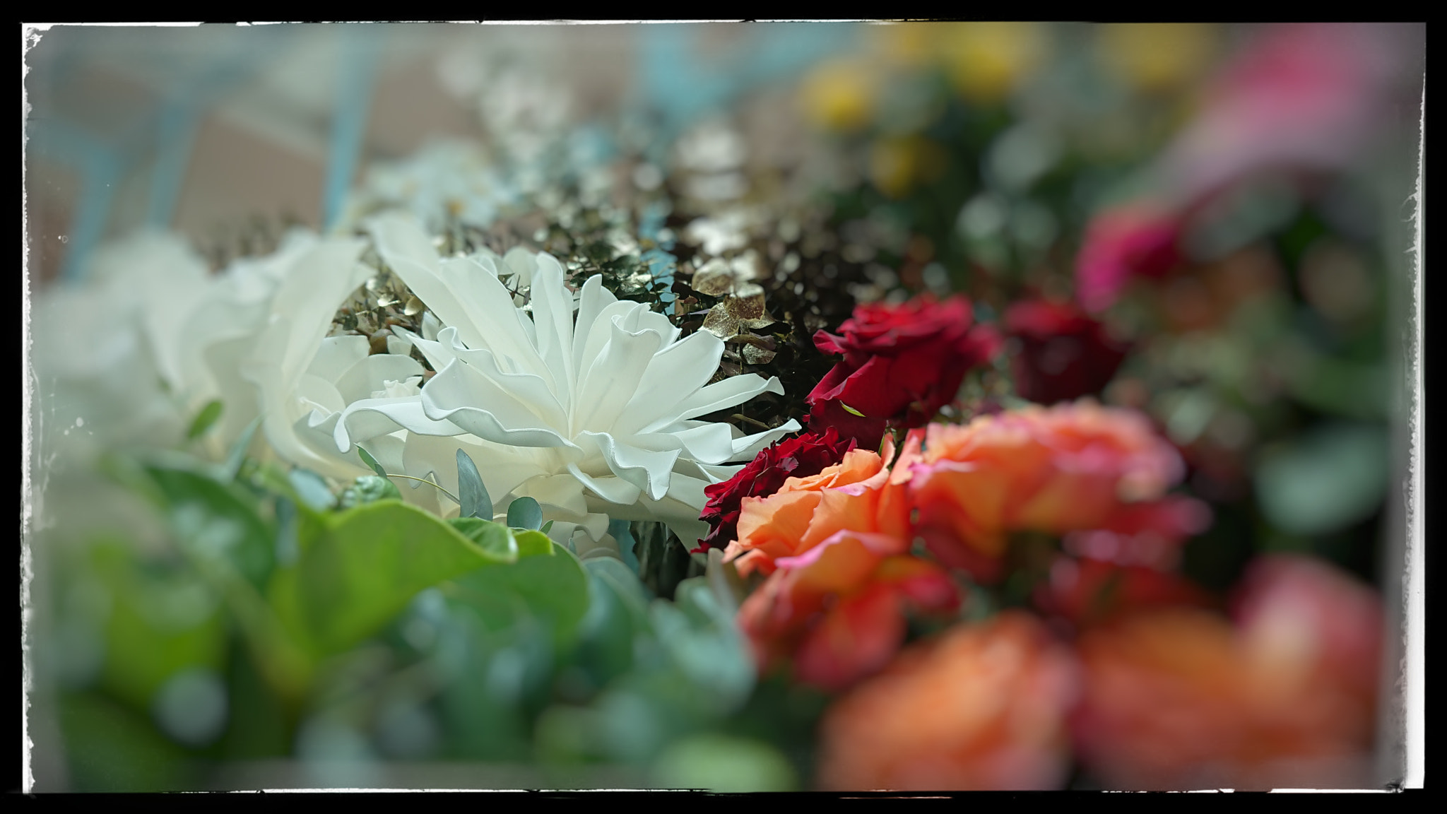 Sony Xperia XZ Premium sample photo. Popmixer. flower power... photography