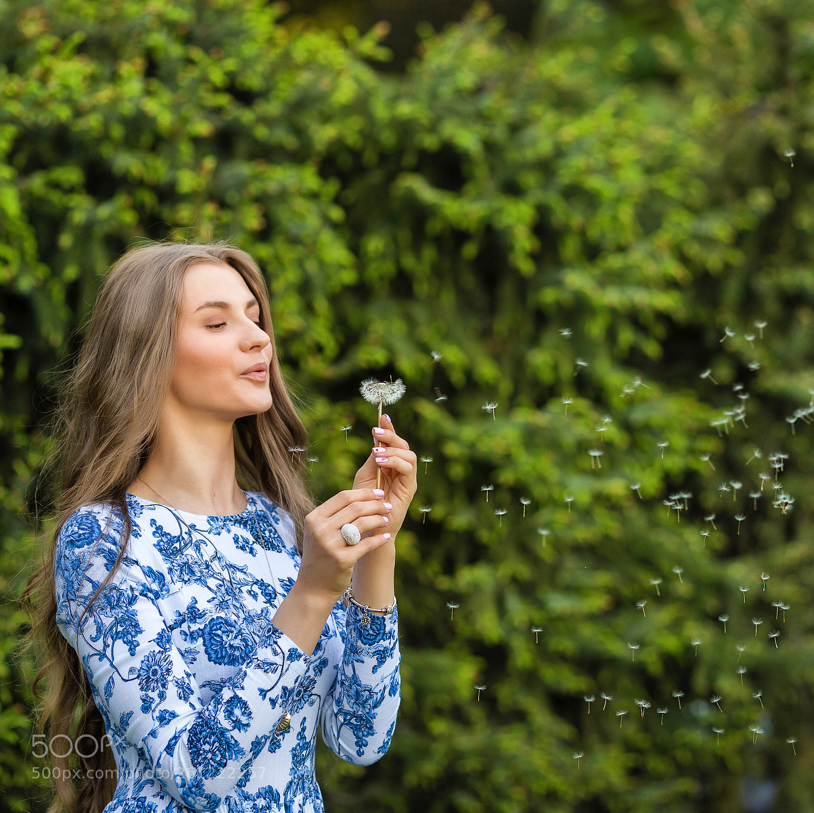 Canon EOS 6D sample photo. Untitled photography