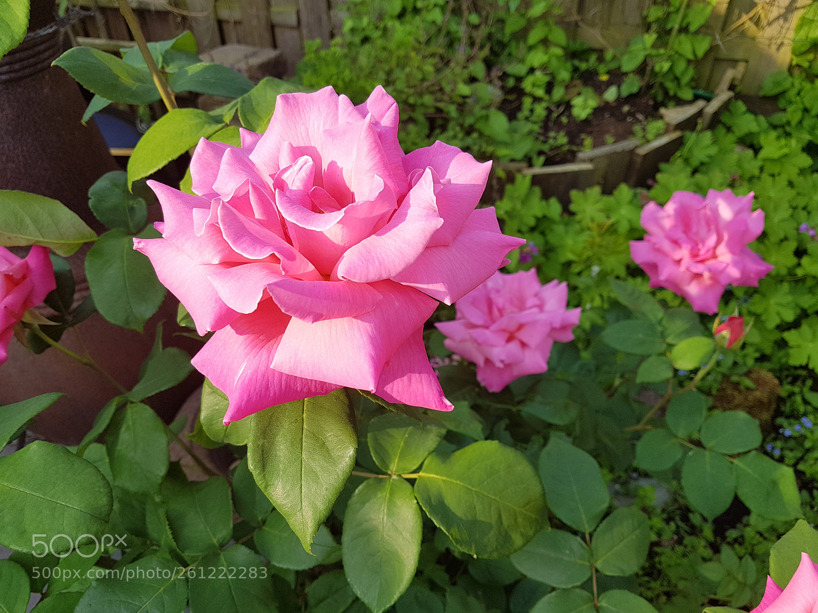 Samsung Galaxy S7 sample photo. Untitled photography