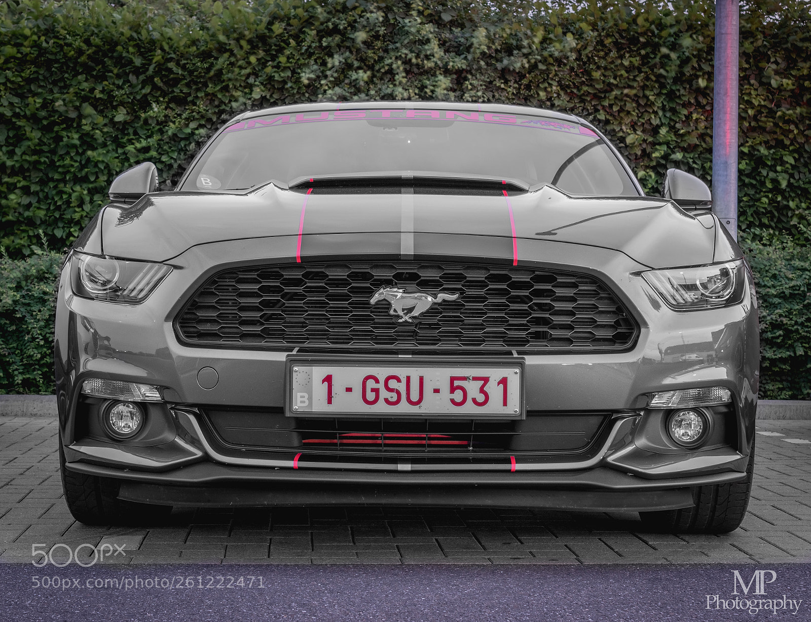 Nikon D3300 sample photo. Mustang photography