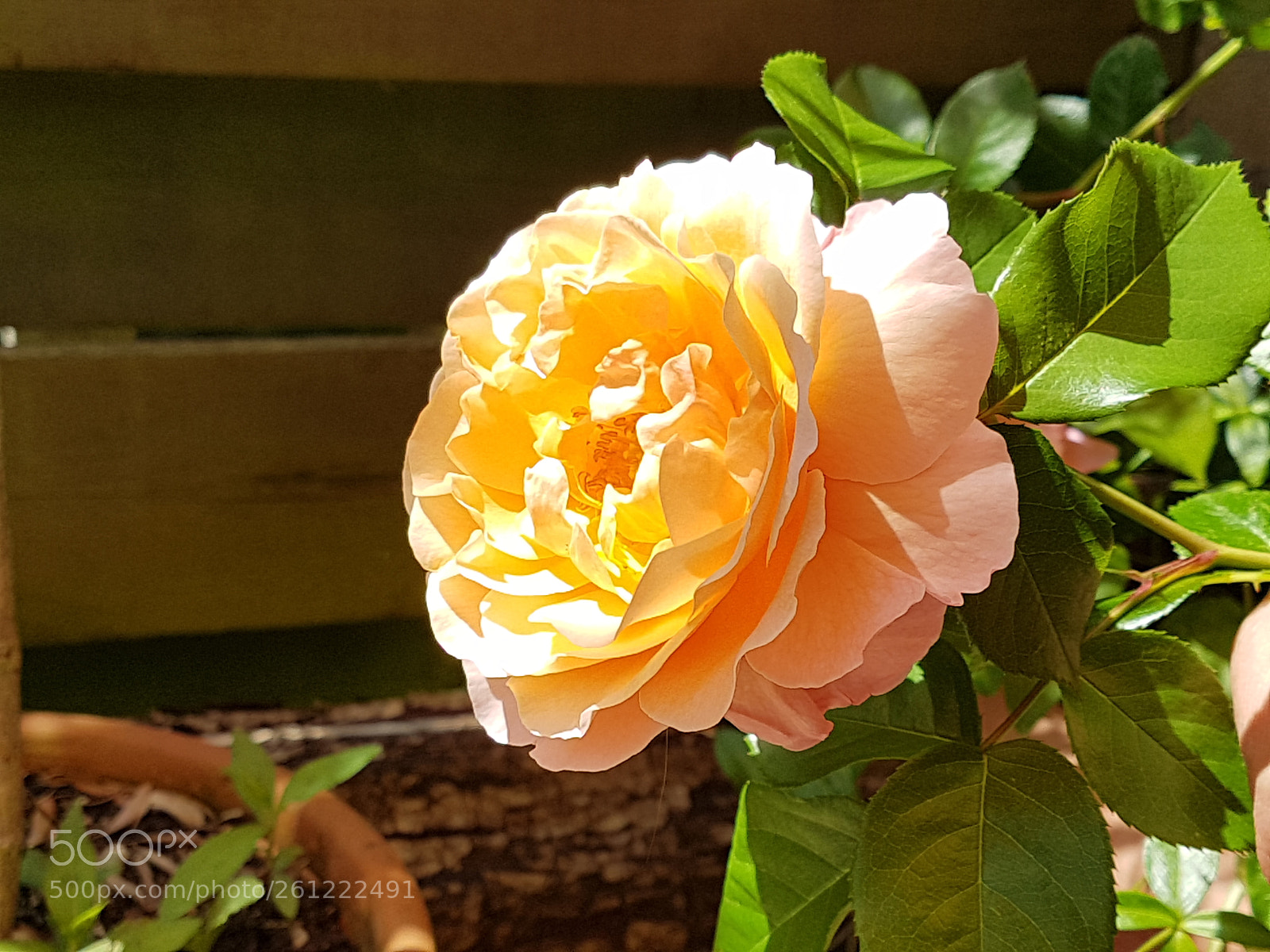 Samsung Galaxy S7 sample photo. Untitled photography