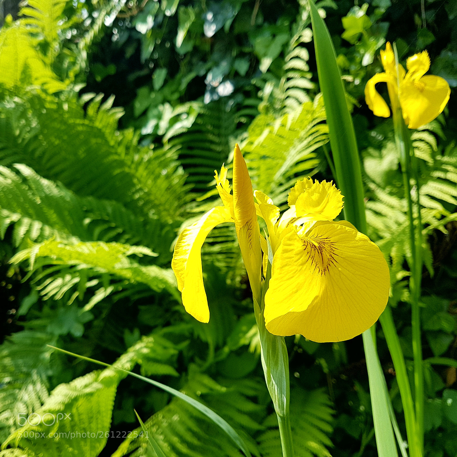 Samsung Galaxy S7 sample photo. Untitled photography