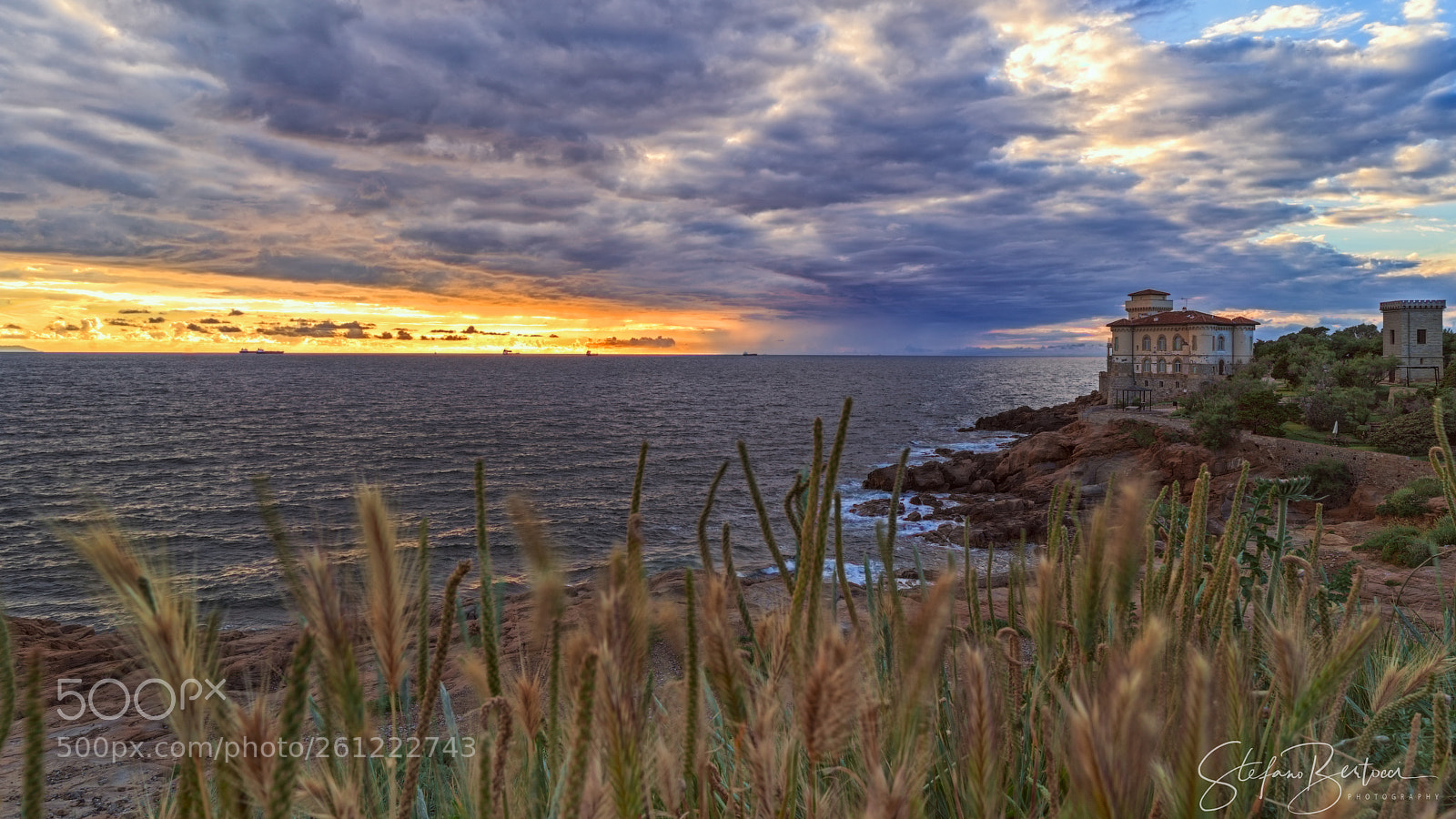 Sony a7R II sample photo. Dsc photography