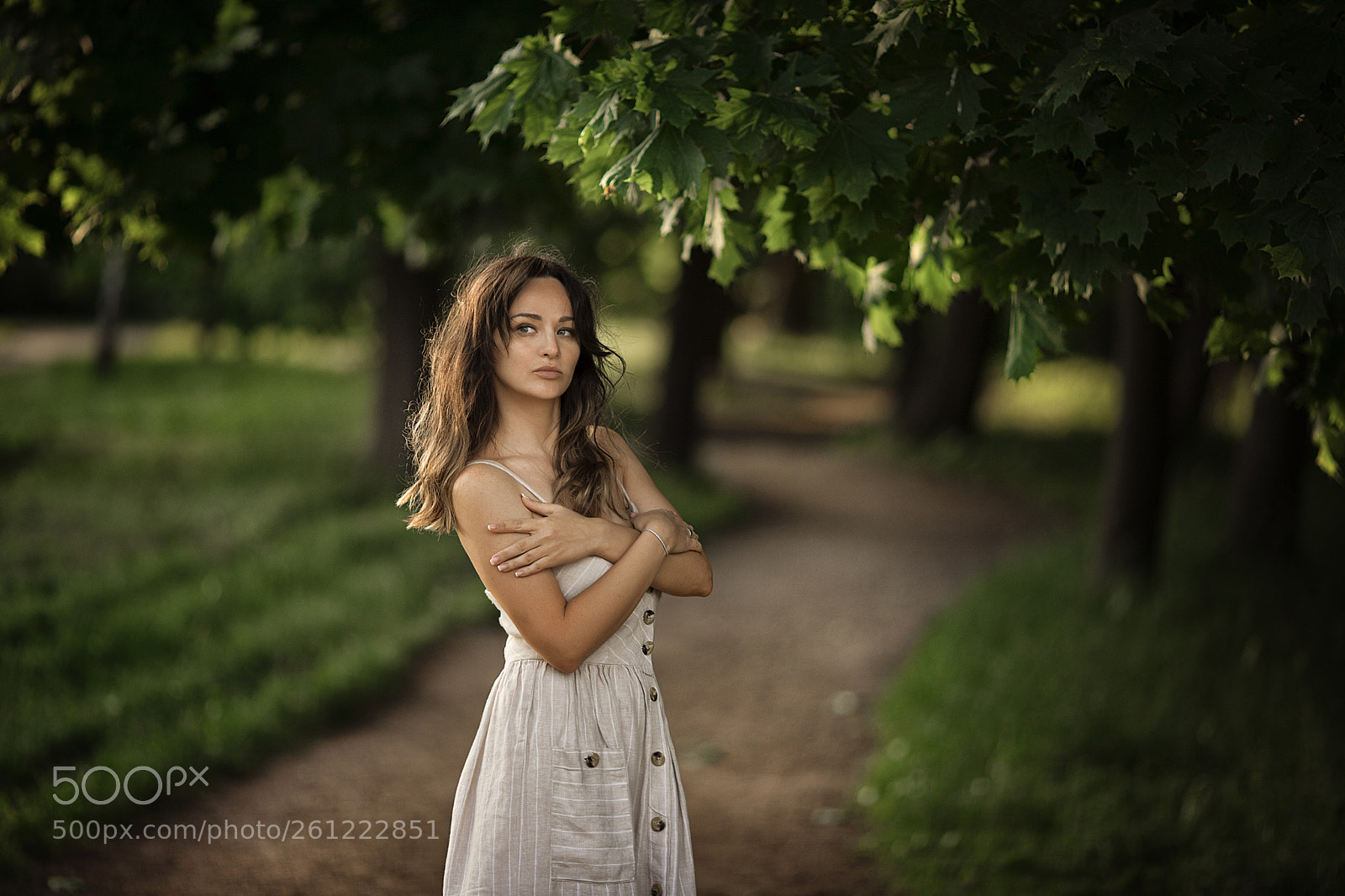 Canon EOS 6D Mark II sample photo. Untitled photography