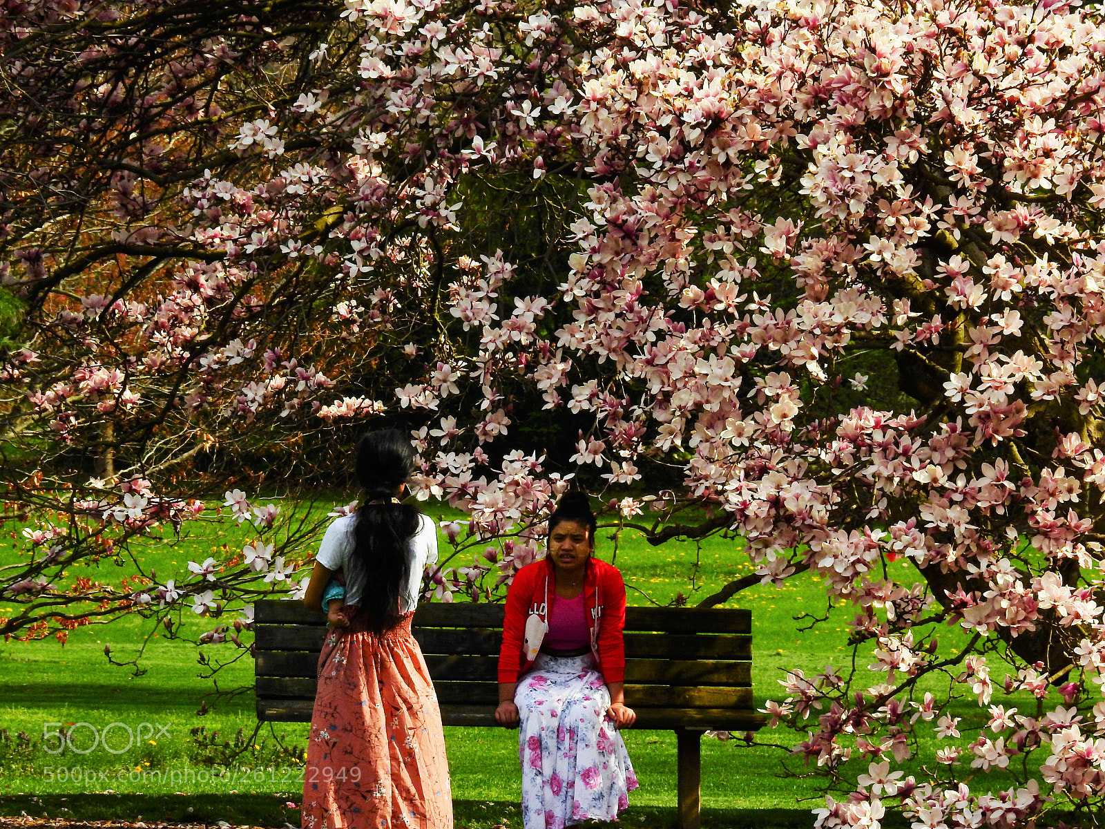 Nikon Coolpix P900 sample photo. Spring in the park photography
