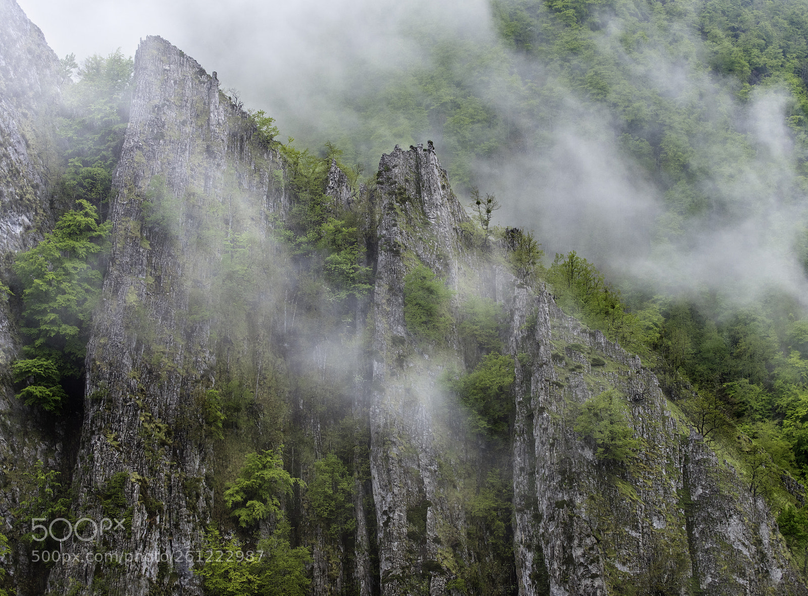 Nikon D810 sample photo. Dientes de sierra photography