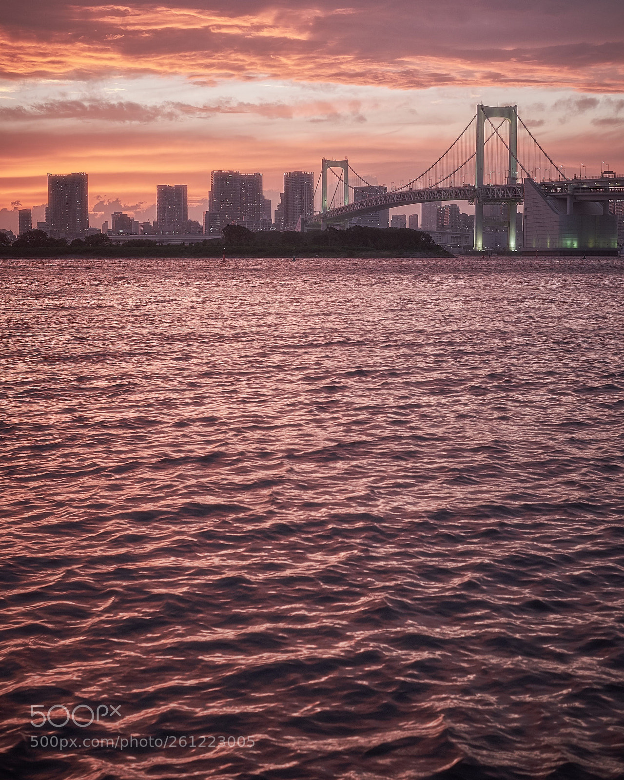 Fujifilm X-T1 sample photo. Tokyo view's photography