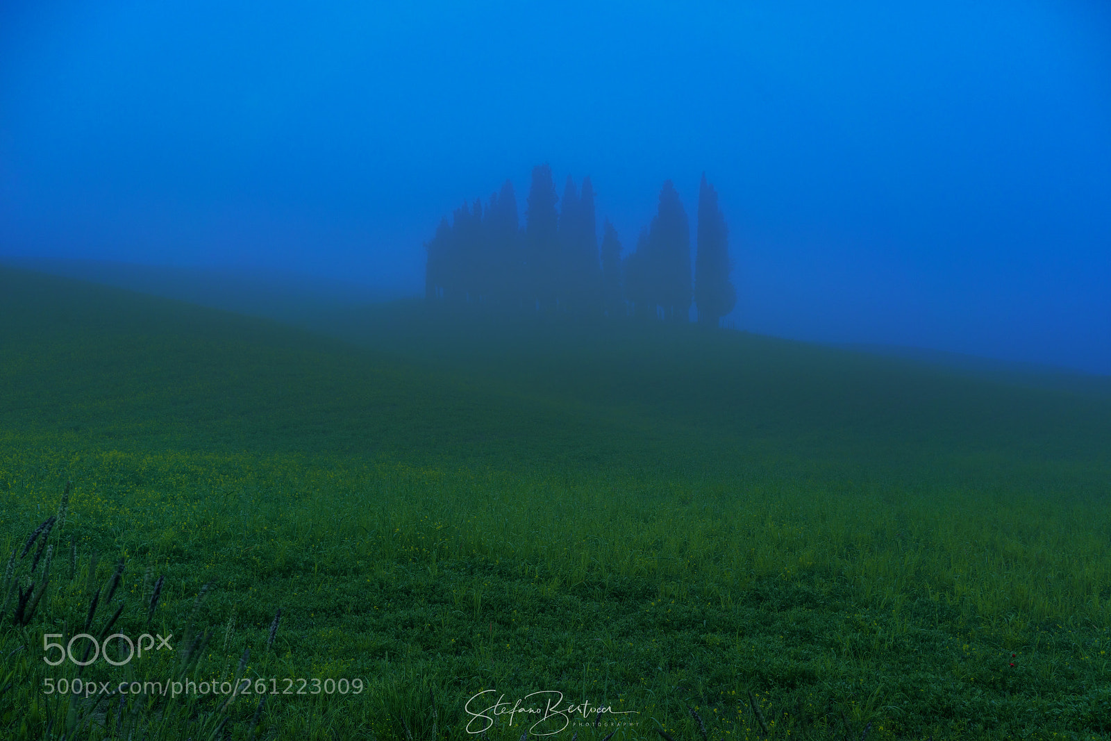 Sony a7R II sample photo. Dsc photography