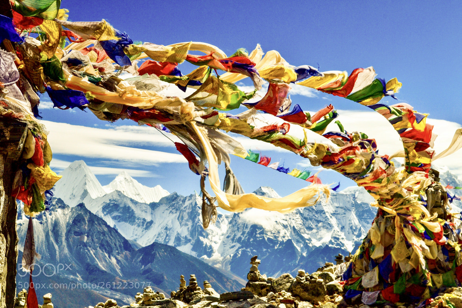 Nikon D3100 sample photo. Prayer flags in the photography