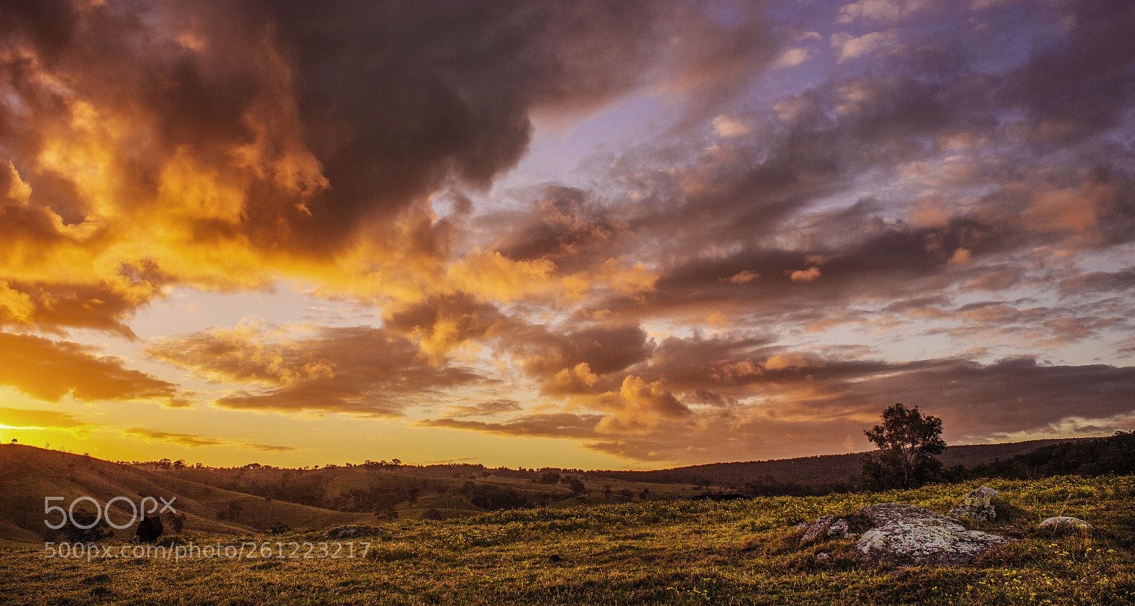 Canon EOS 600D (Rebel EOS T3i / EOS Kiss X5) sample photo. Paterson valley sunset. photography