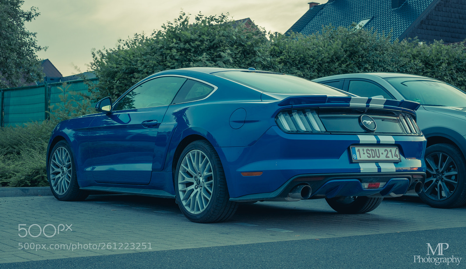 Nikon D3300 sample photo. Mustang photography