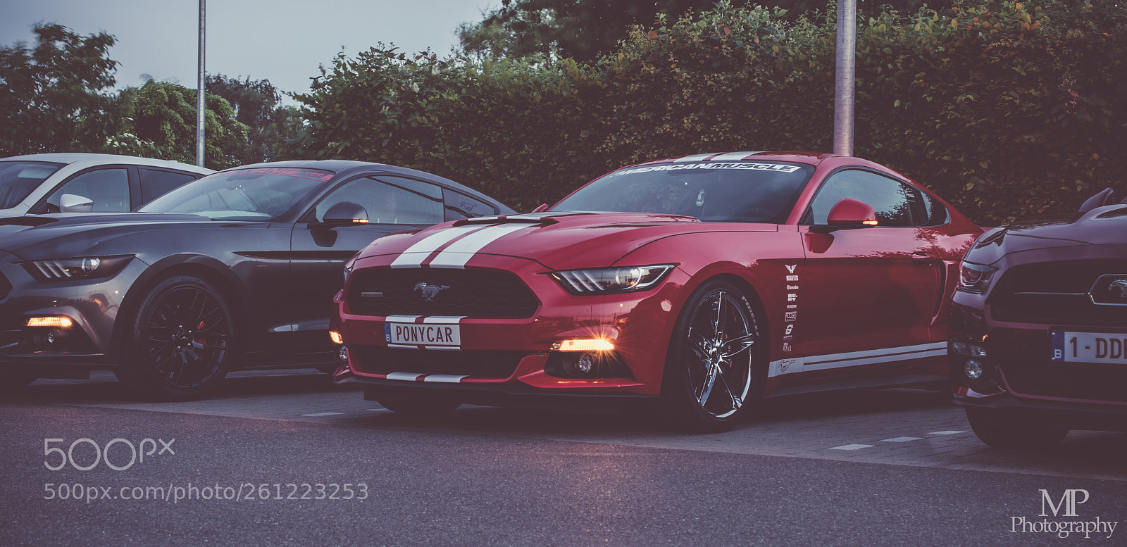 Nikon D3300 sample photo. Mustang photography