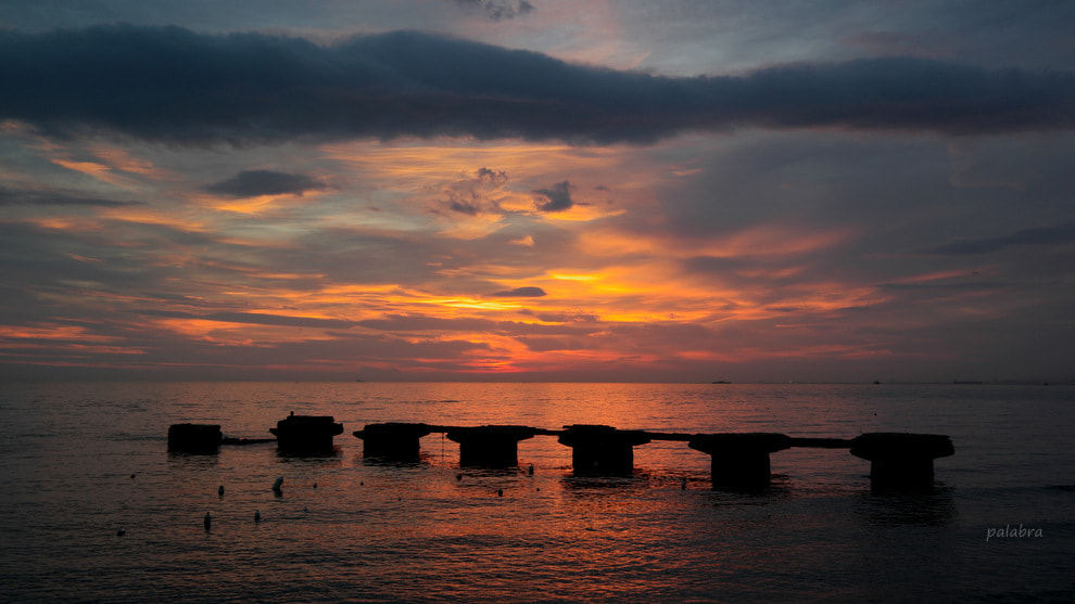 Samsung NX1 sample photo. ... photography
