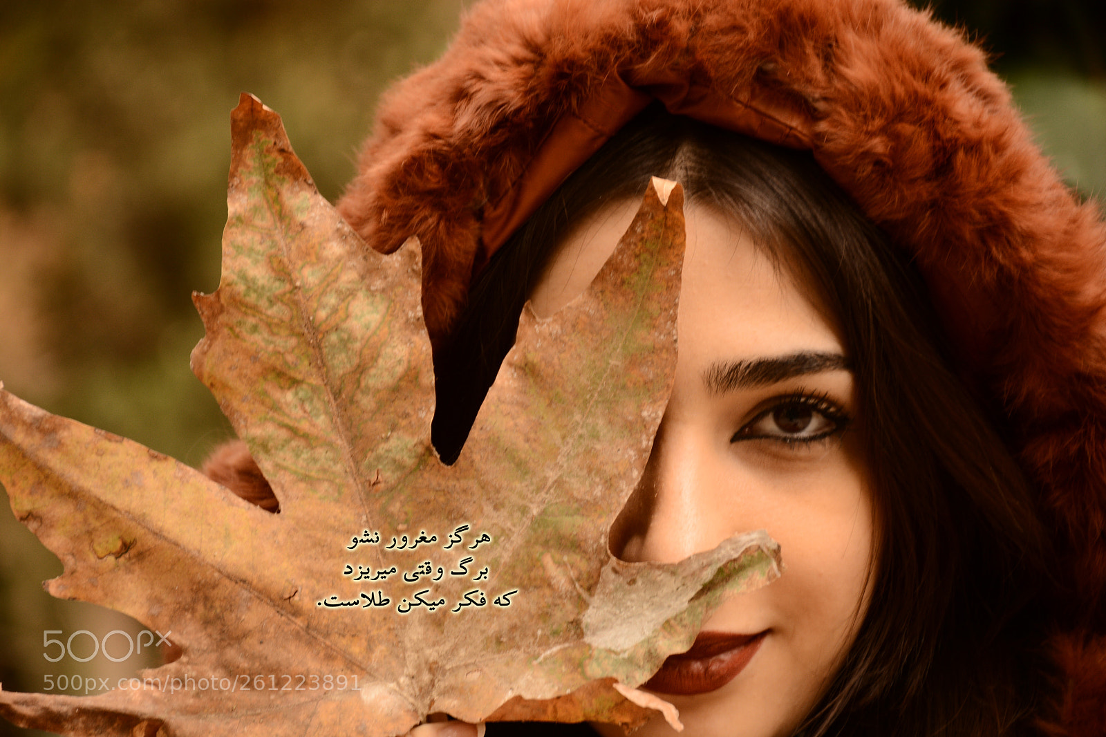 Nikon D7100 sample photo. 2.jpg photography