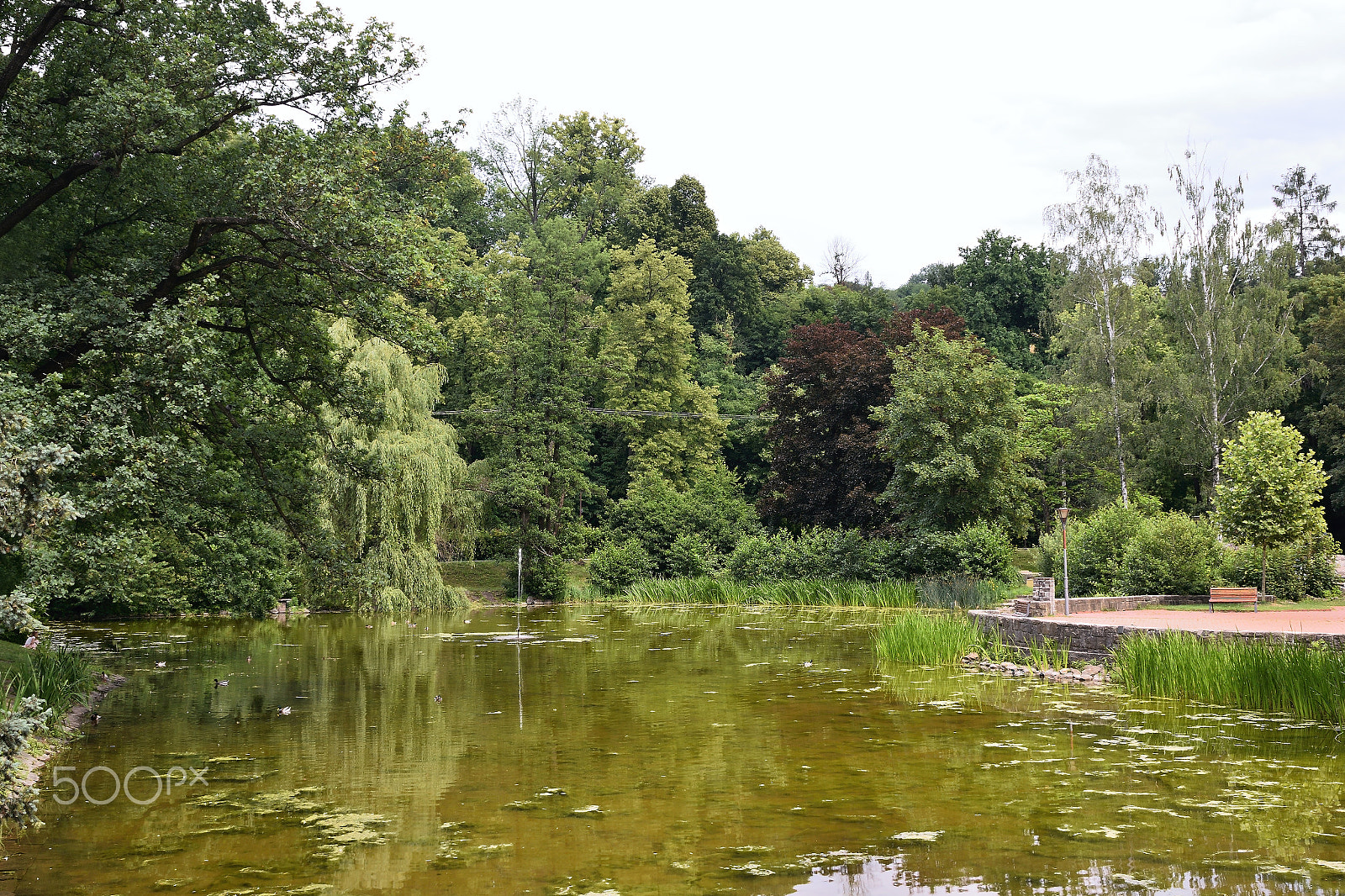 Nikon D5300 sample photo. Lake and trees in panska zahrada garden in vsetin city during cloudy weather photography