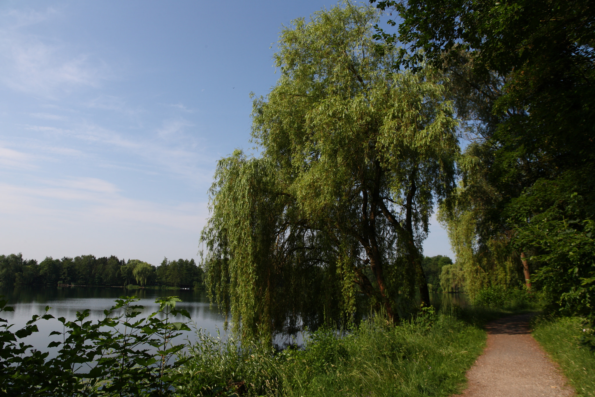 Canon EF 24-105mm F3.5-5.6 IS STM sample photo. Walkway photography