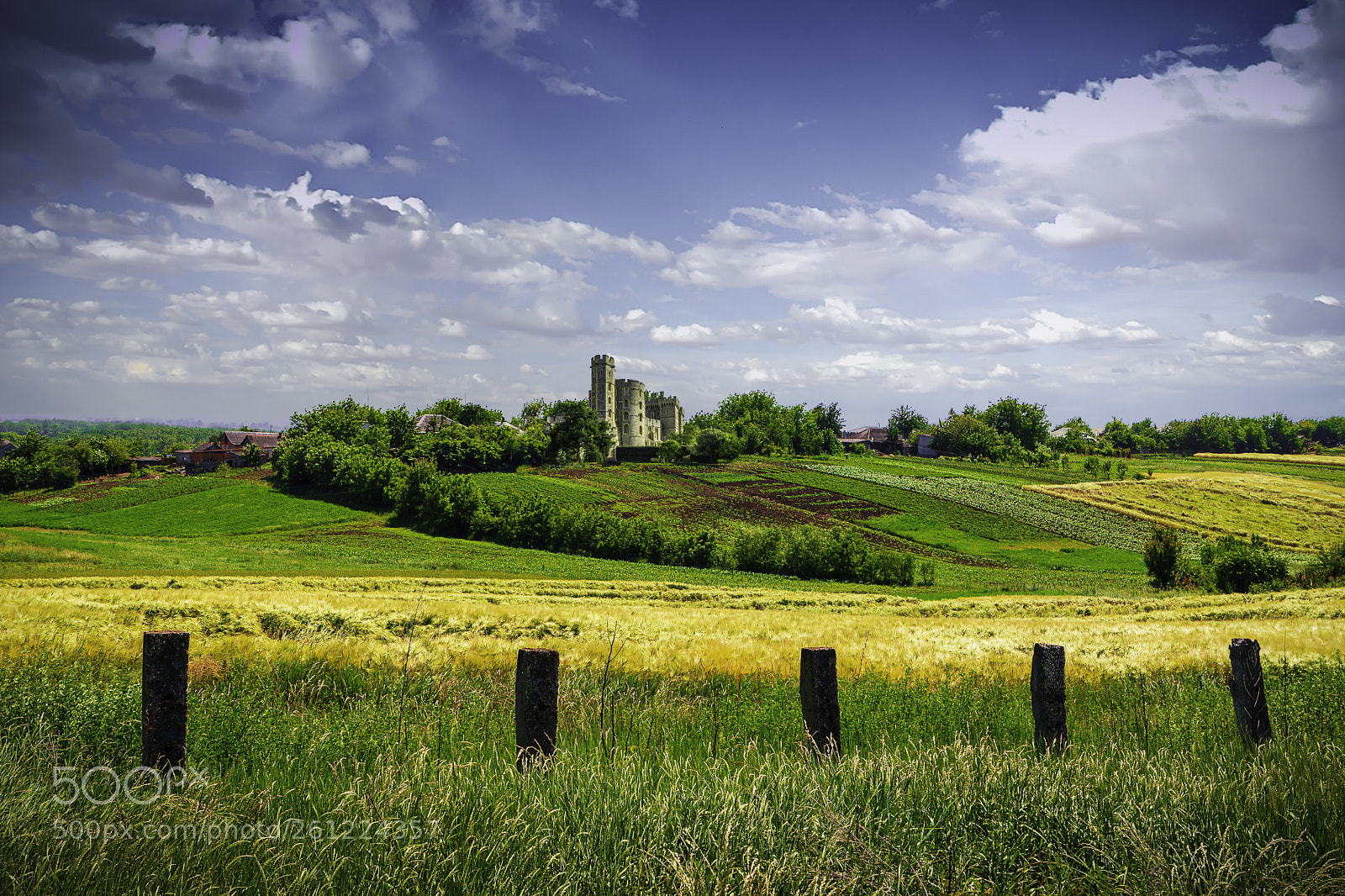 Canon EOS 6D Mark II sample photo. Img photography