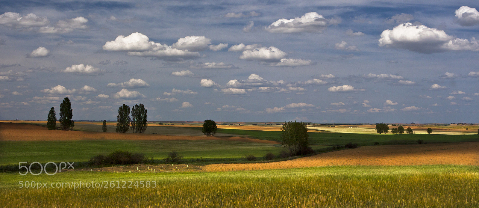 Canon EOS 50D sample photo. Ancha es castilla photography