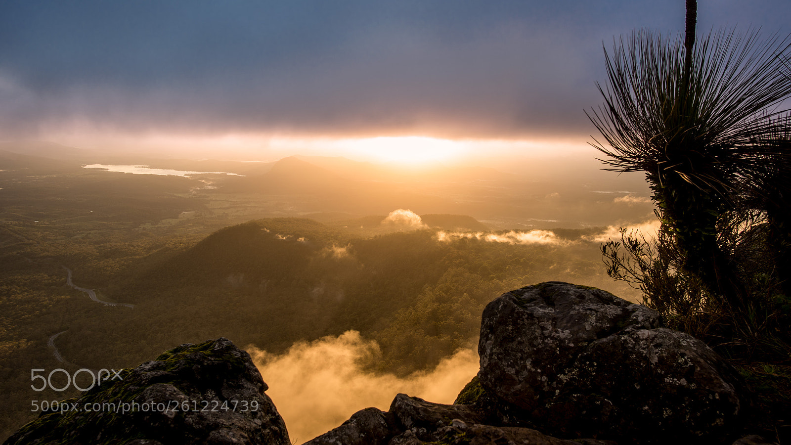 Nikon D810 sample photo. Morning array photography