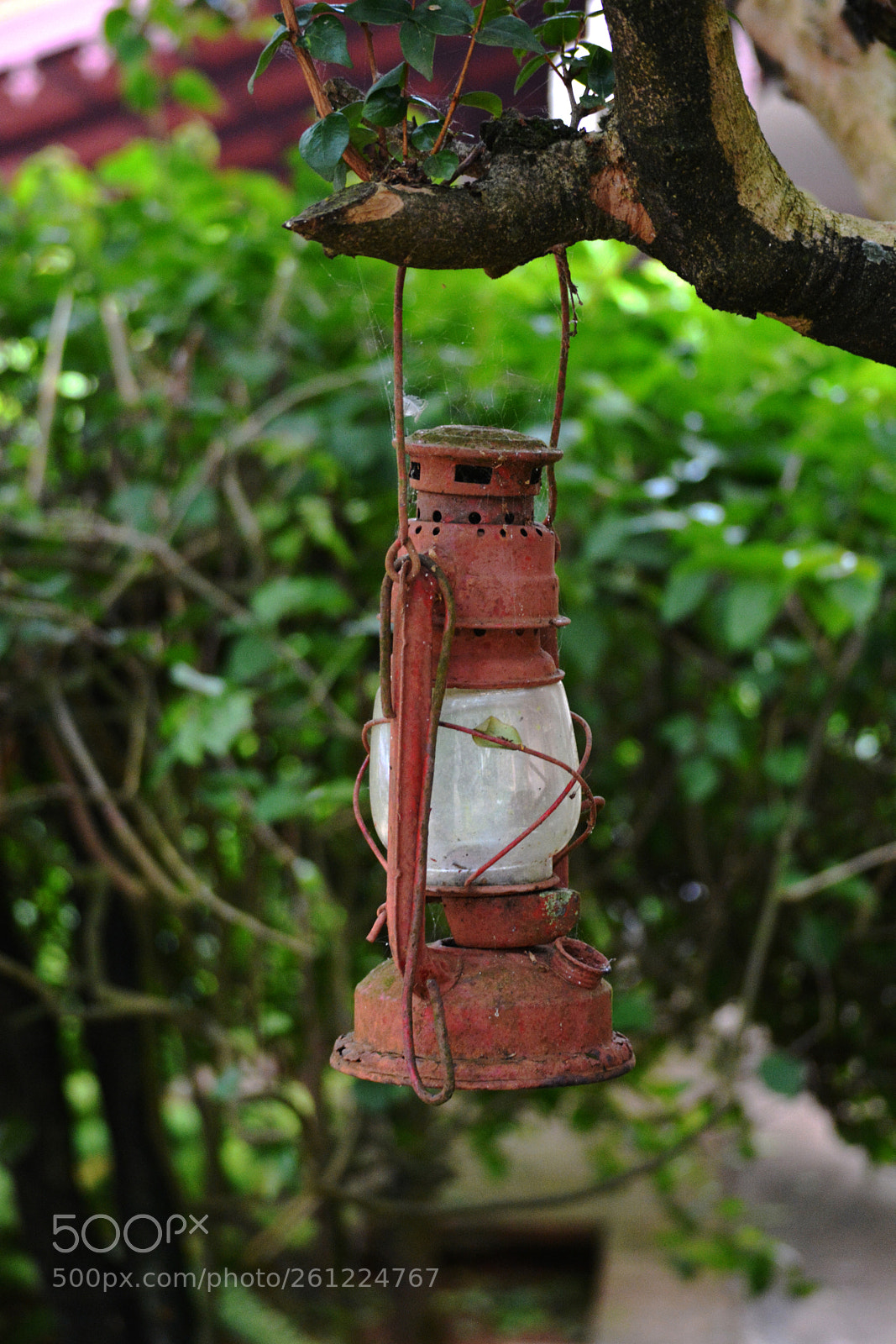 Nikon D5200 sample photo. Hanging lamp photography