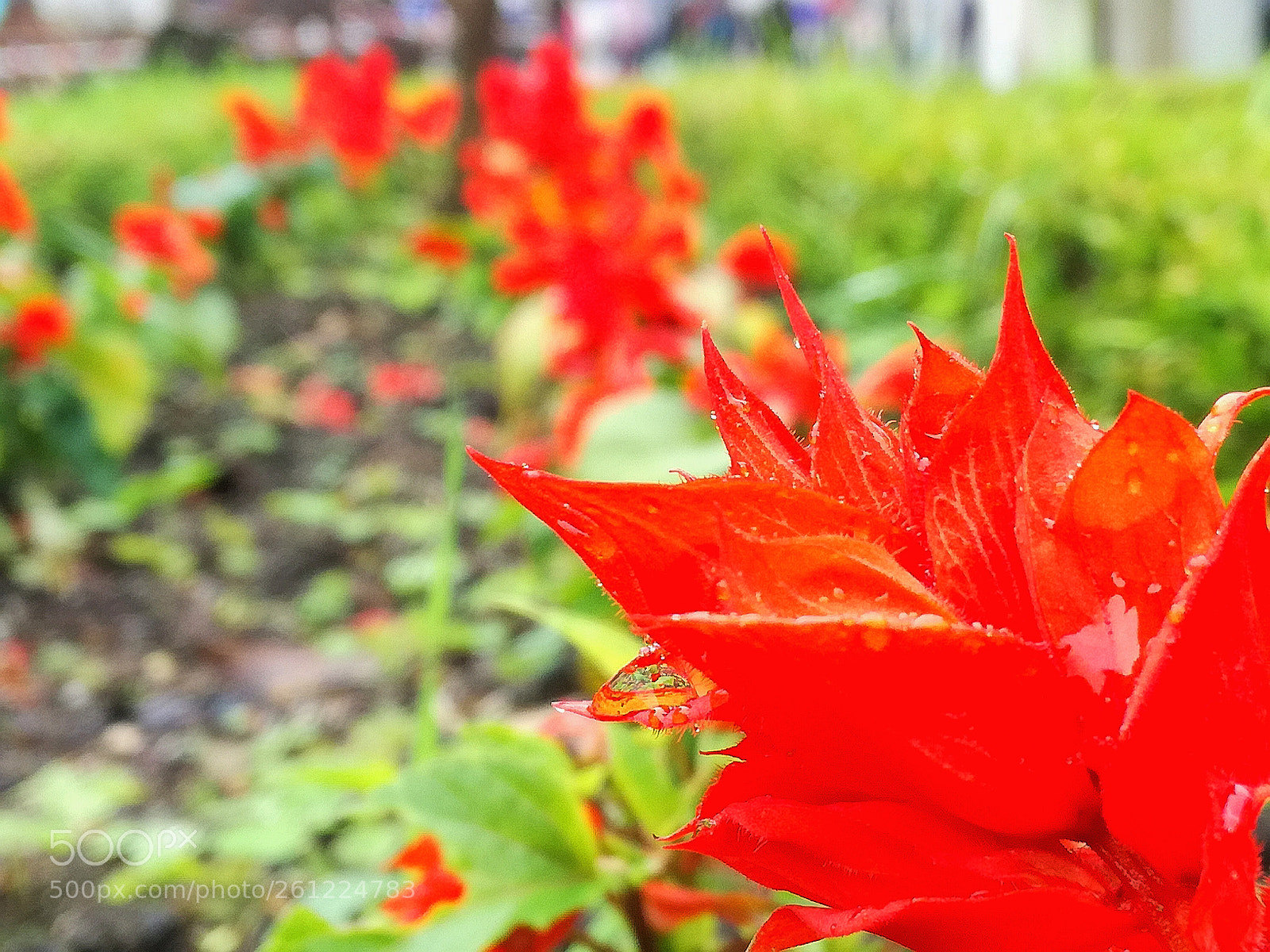 HUAWEI P9 LITE sample photo. Untitled photography