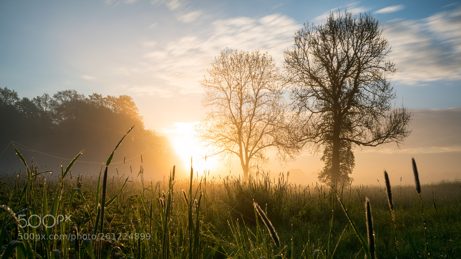 Nikon D5600 sample photo. Foggy sunrise photography
