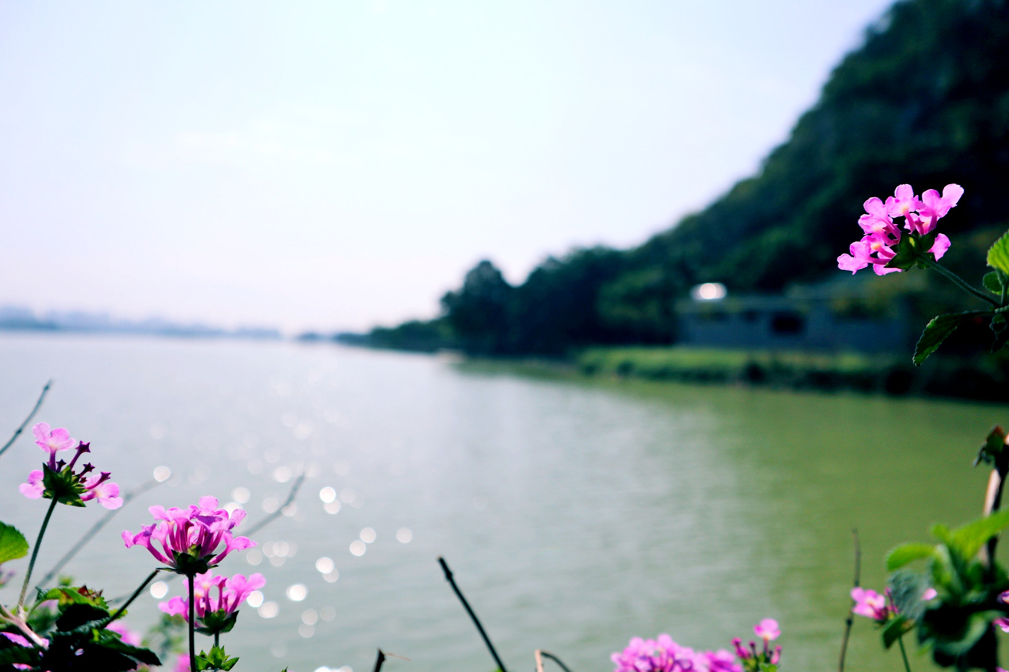 Canon EOS M100 sample photo. Sparkling photography