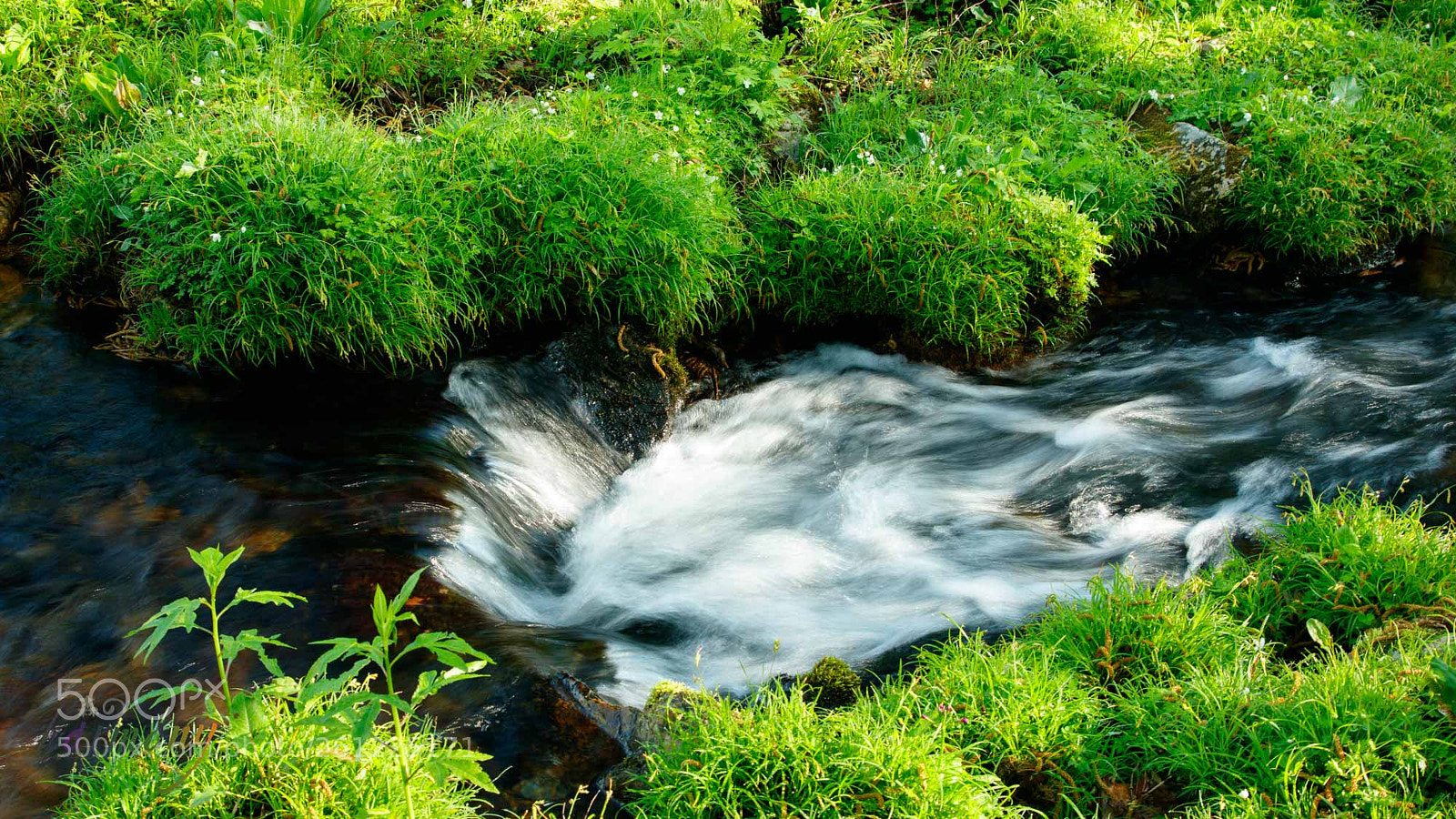 Canon EOS 5DS sample photo. Stream in the wetland photography