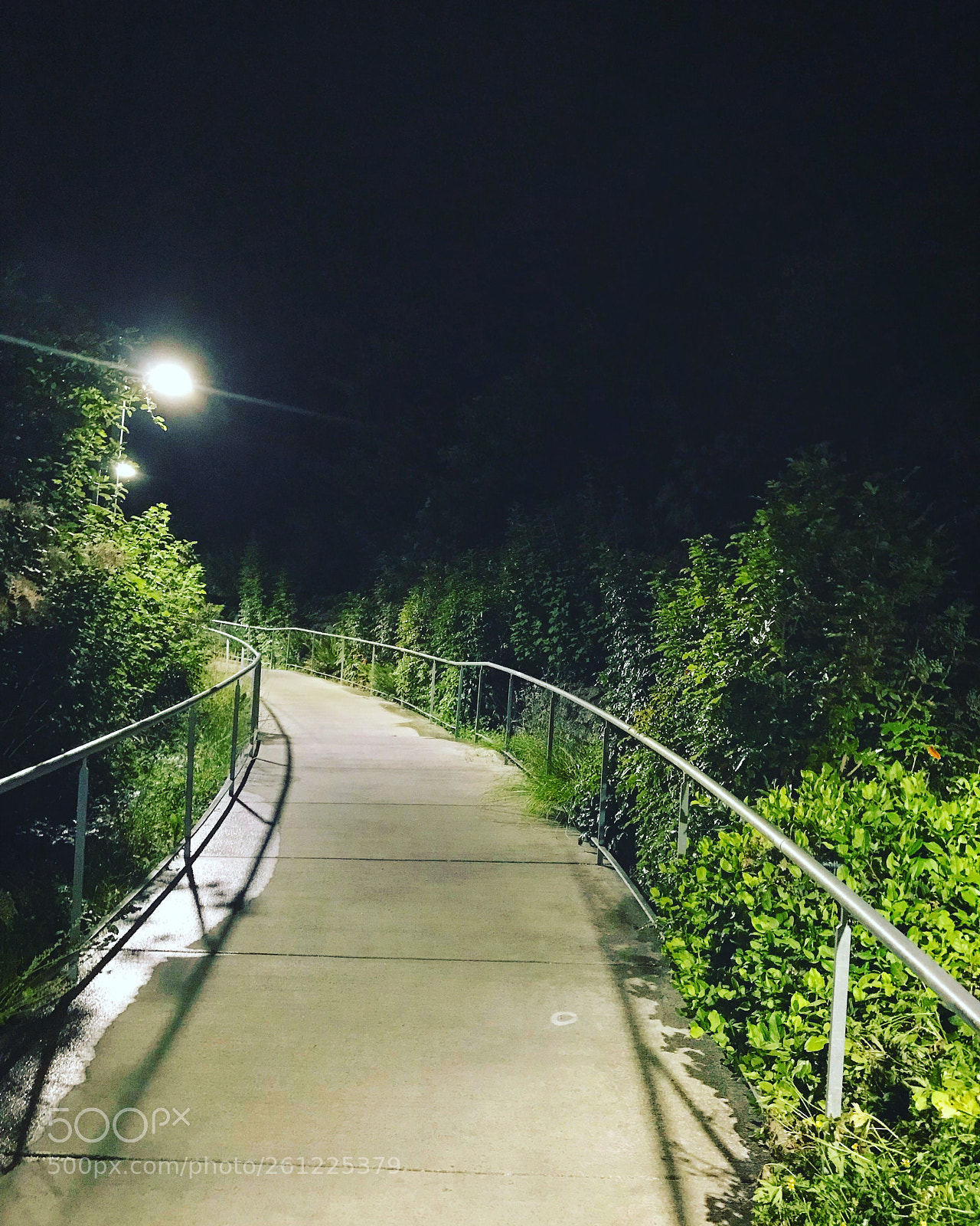 Apple iPhone 7 Plus sample photo. Untitled photography