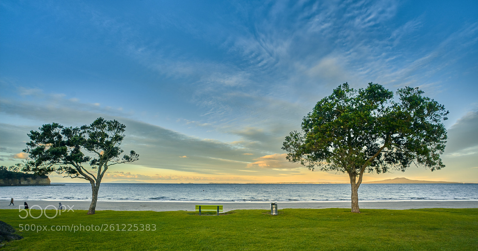 Sony a7R II sample photo. Dsc photography