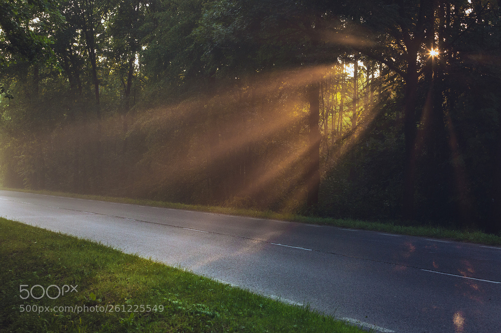 Canon EOS 6D sample photo. Light beams photography