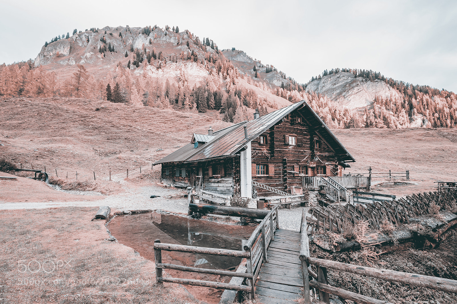 Nikon D5300 sample photo. Nigeltalalm photography
