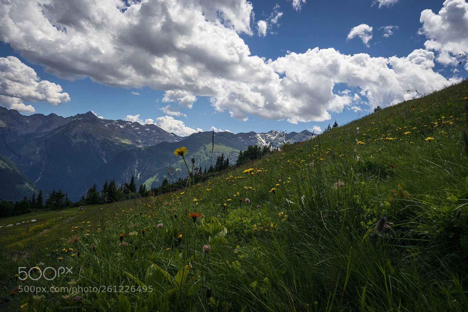 Sony a7R sample photo. Nature,alps photography
