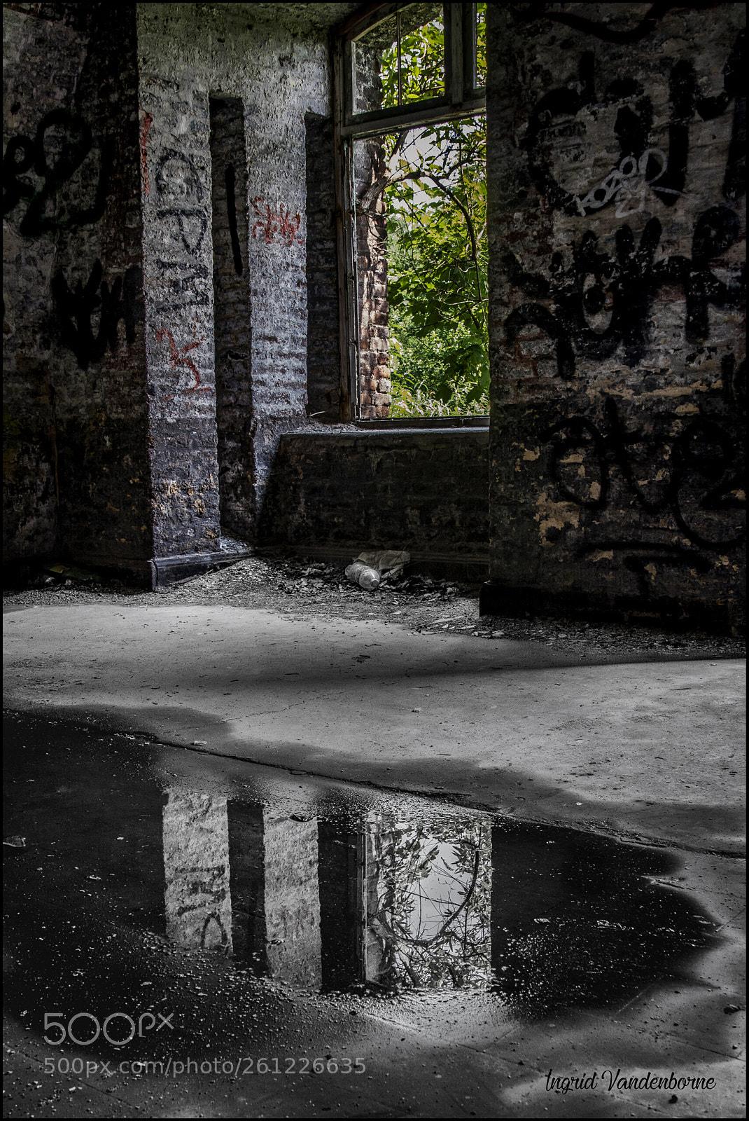 Nikon D5200 sample photo. La chartreuse photography