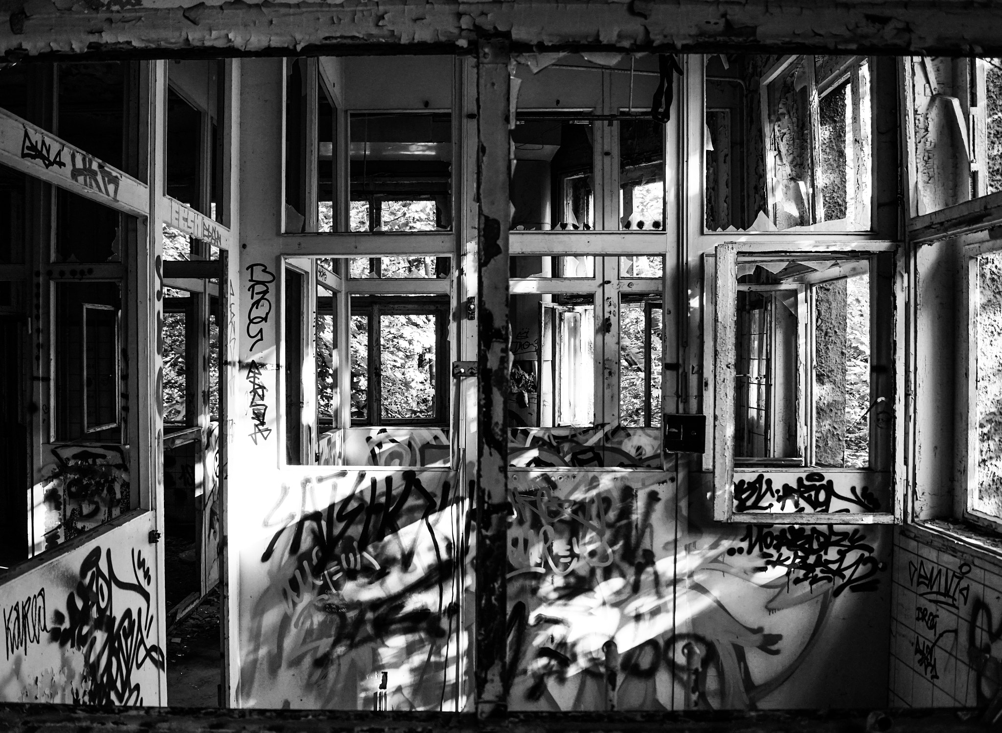 Sony SLT-A68 sample photo. Windows photography