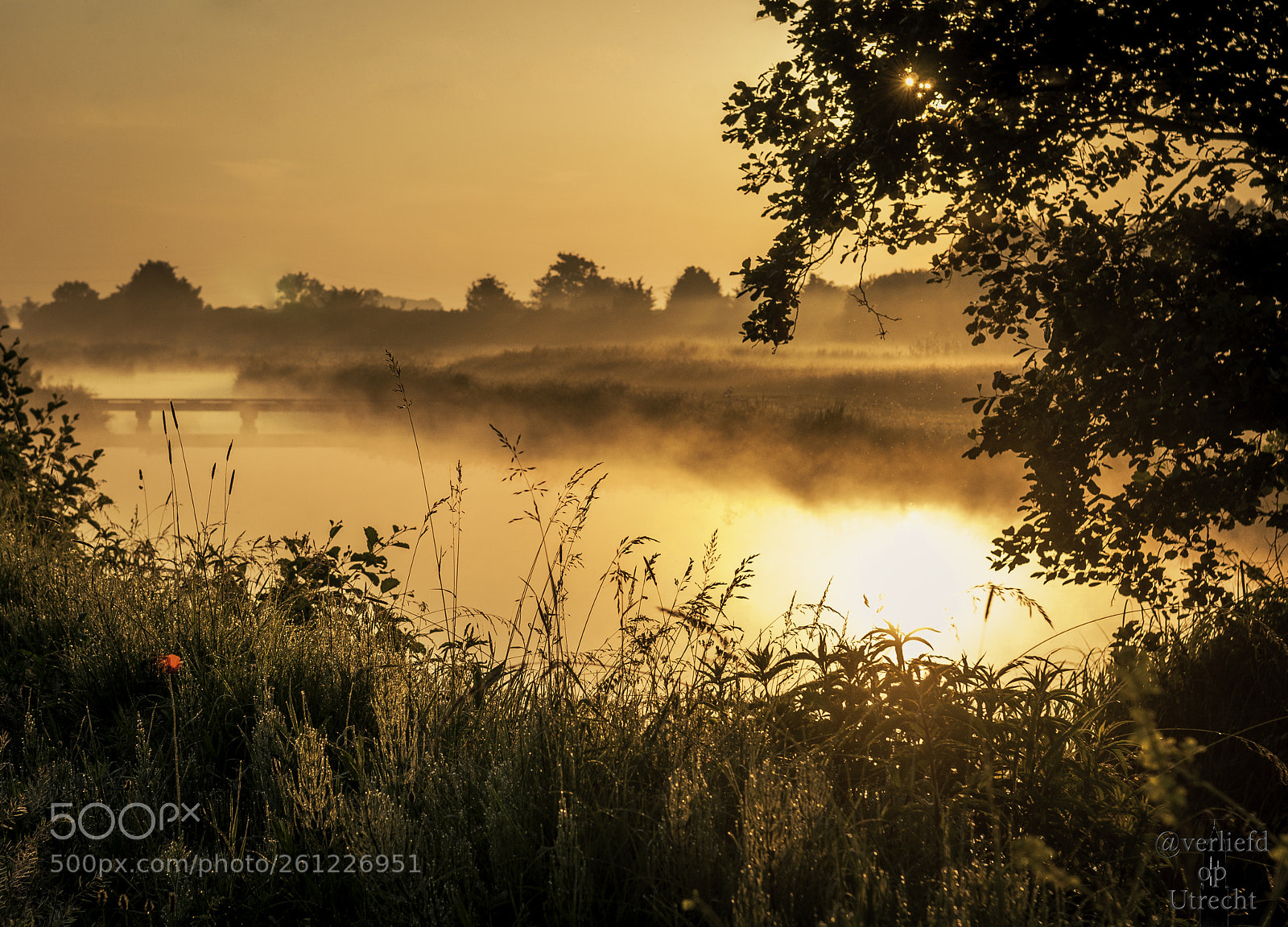 Nikon D5000 sample photo. Fog photography