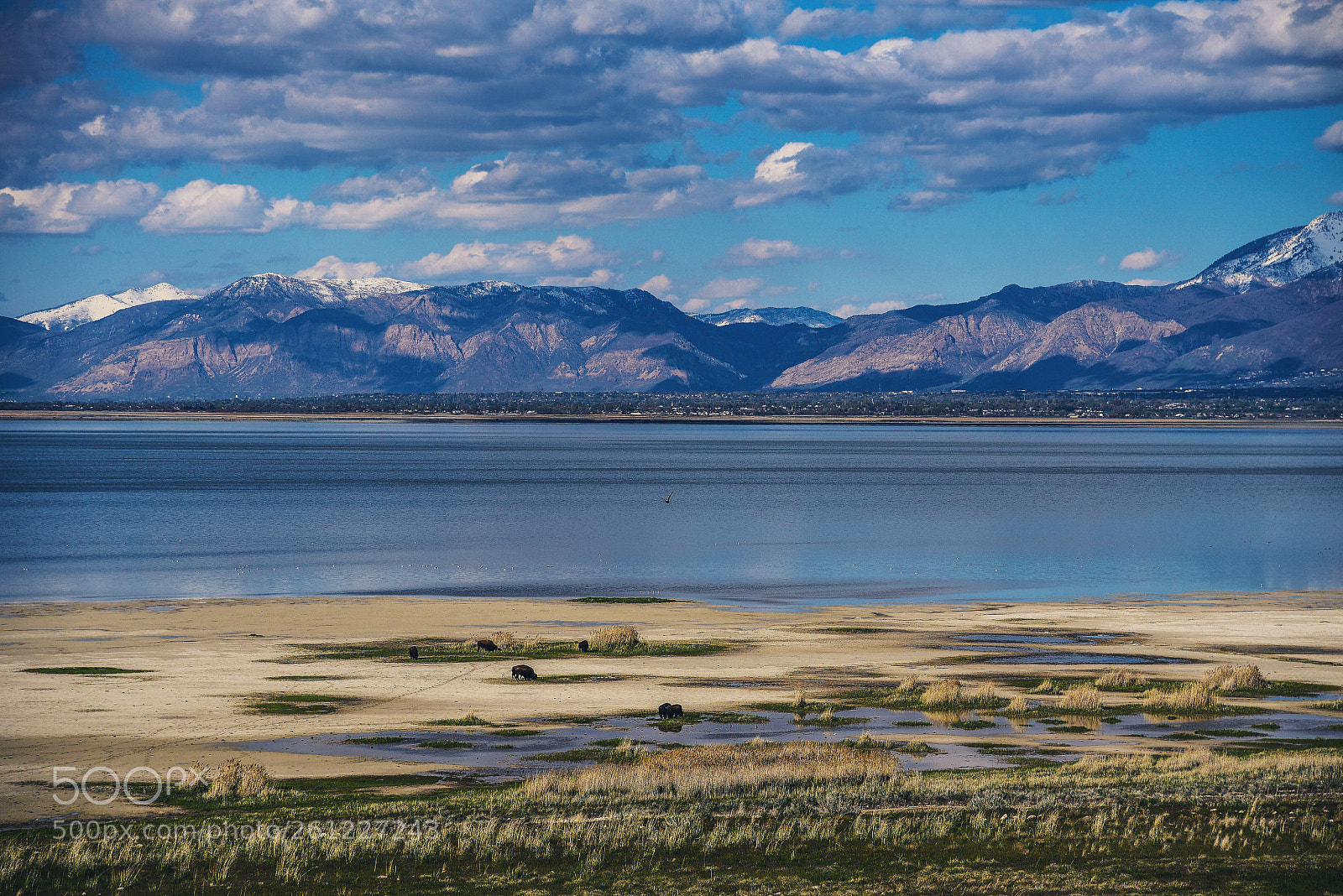 Nikon D750 sample photo. The great salt photography